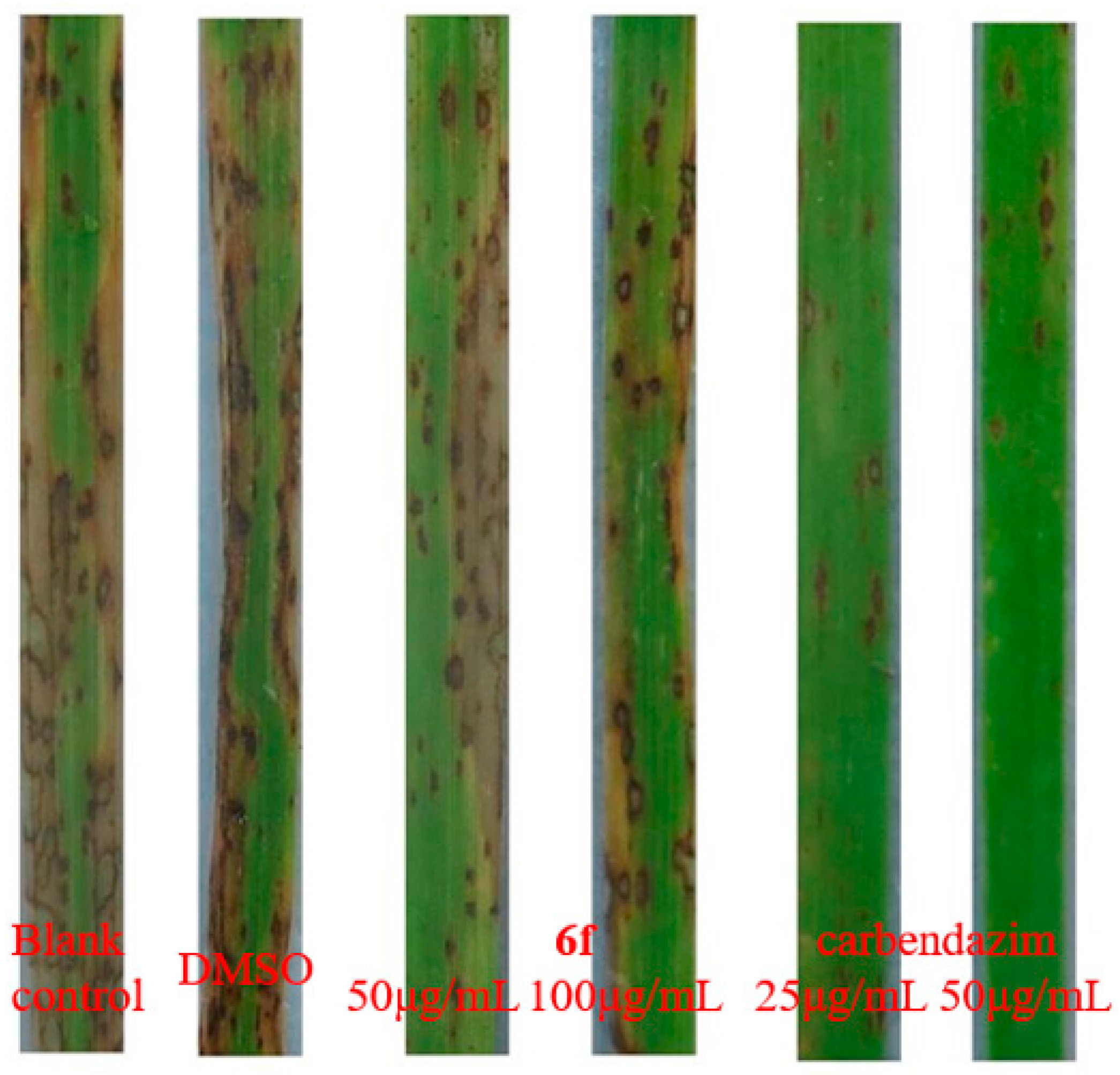 Molecules 21 01574 g005