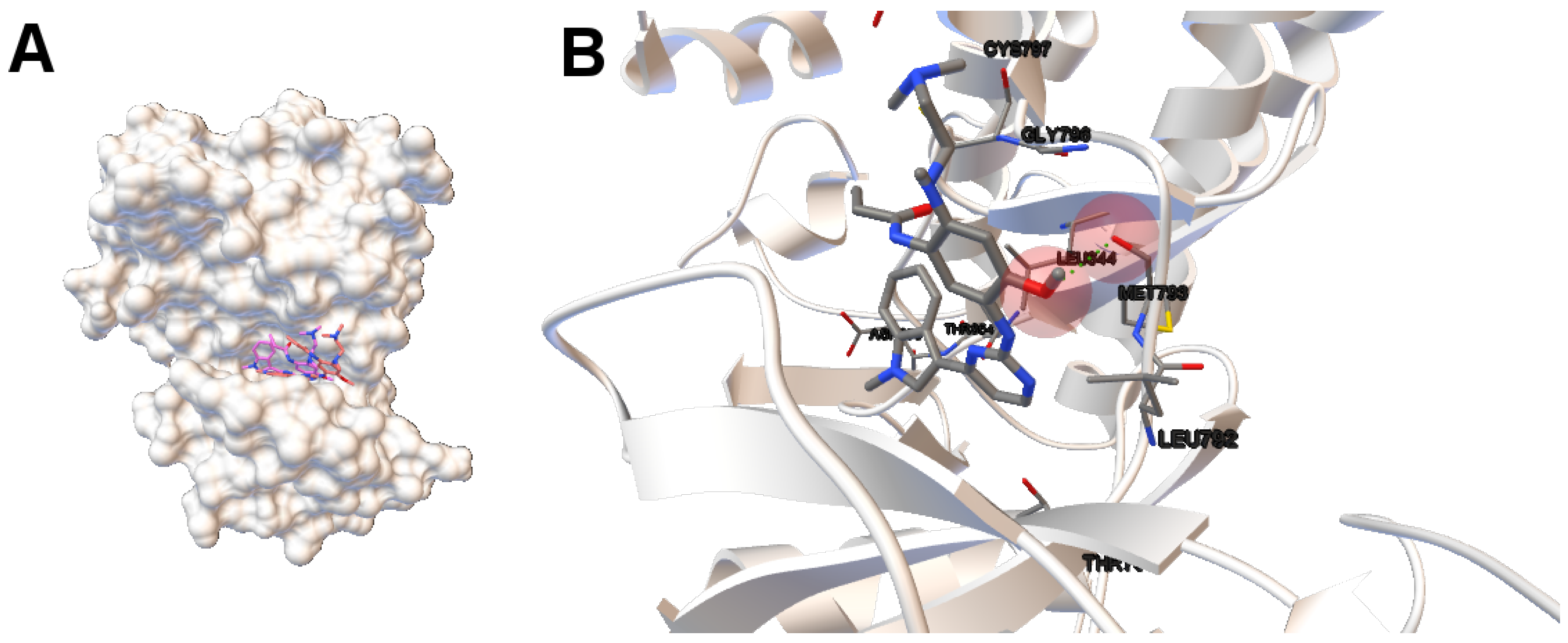 Molecules 21 01575 g004