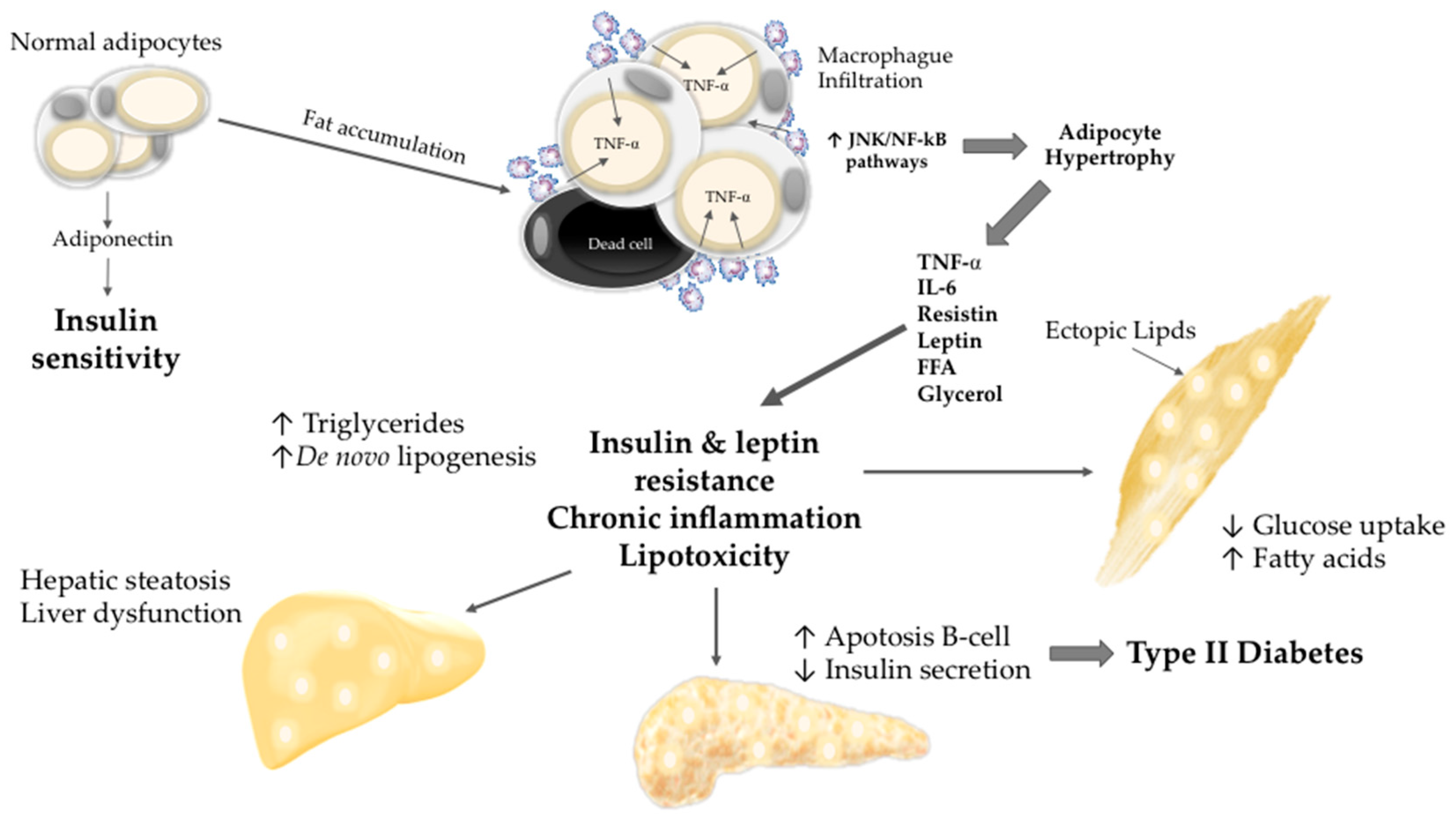 Molecules 21 01596 g001