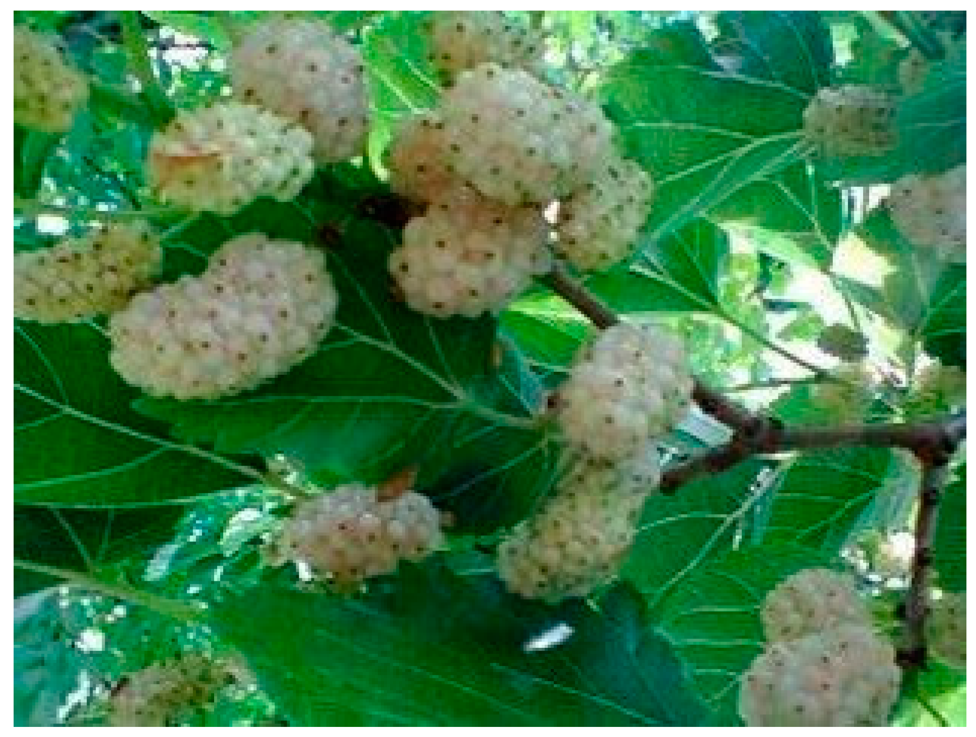 Molecules 21 01600 g002