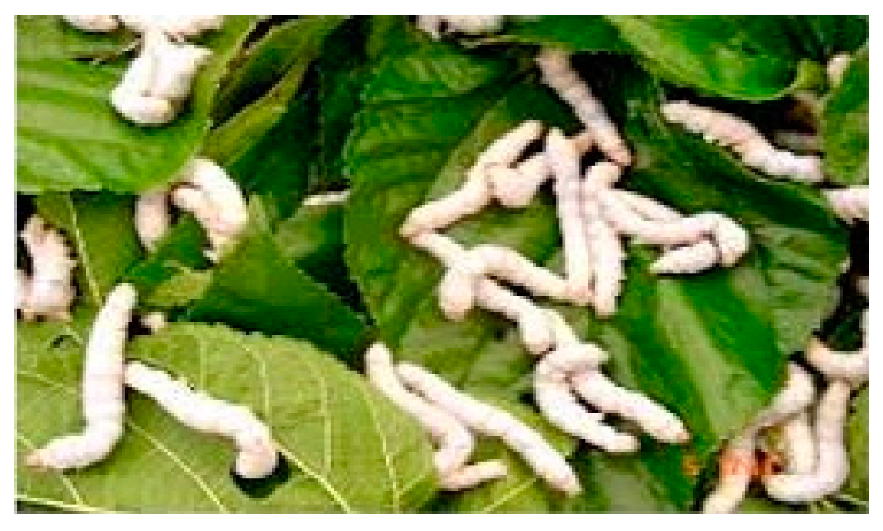 Molecules 21 01600 g003