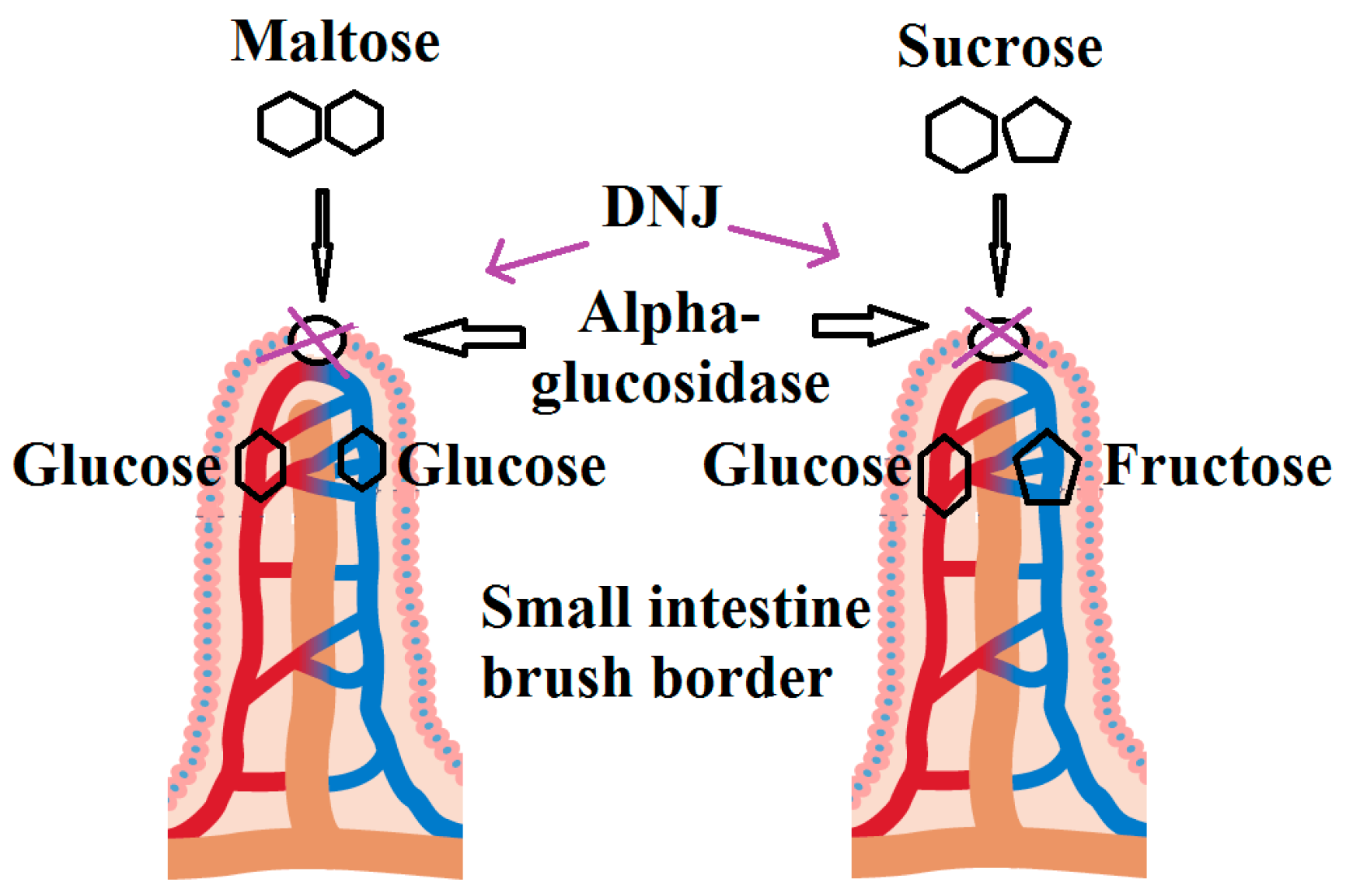 Molecules 21 01600 g004