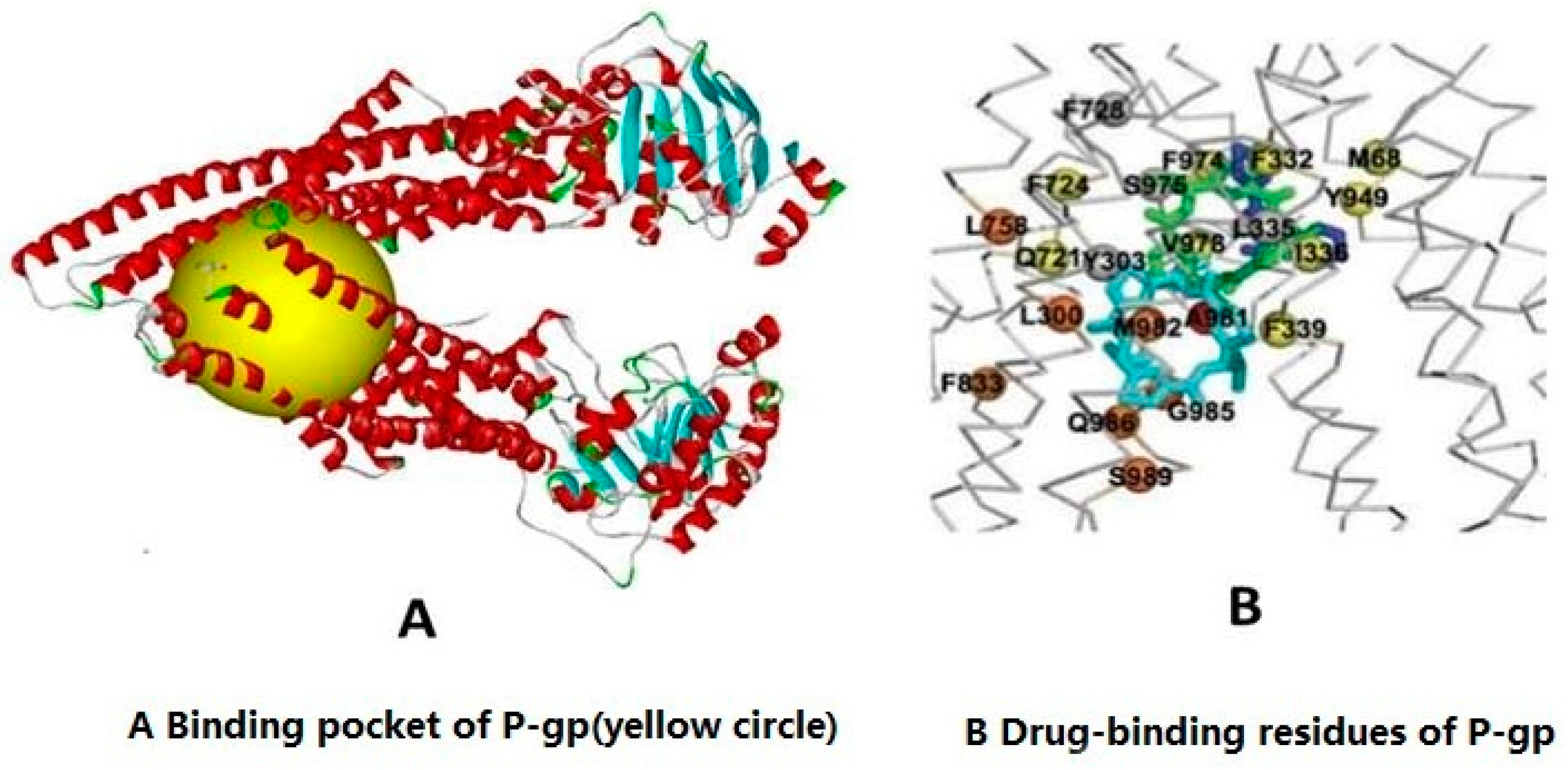 Molecules 21 01606 g002