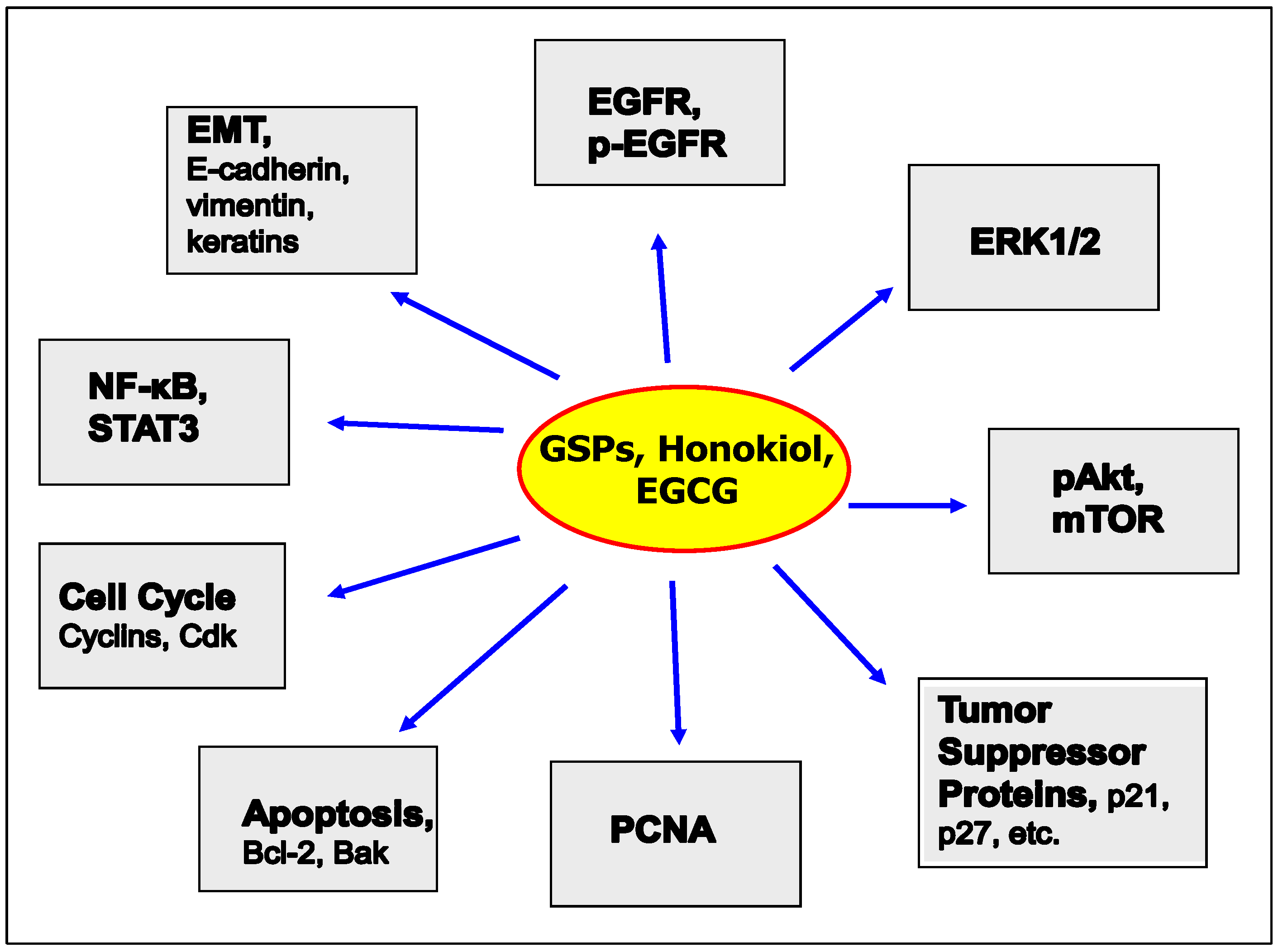 Molecules 21 01610 g002
