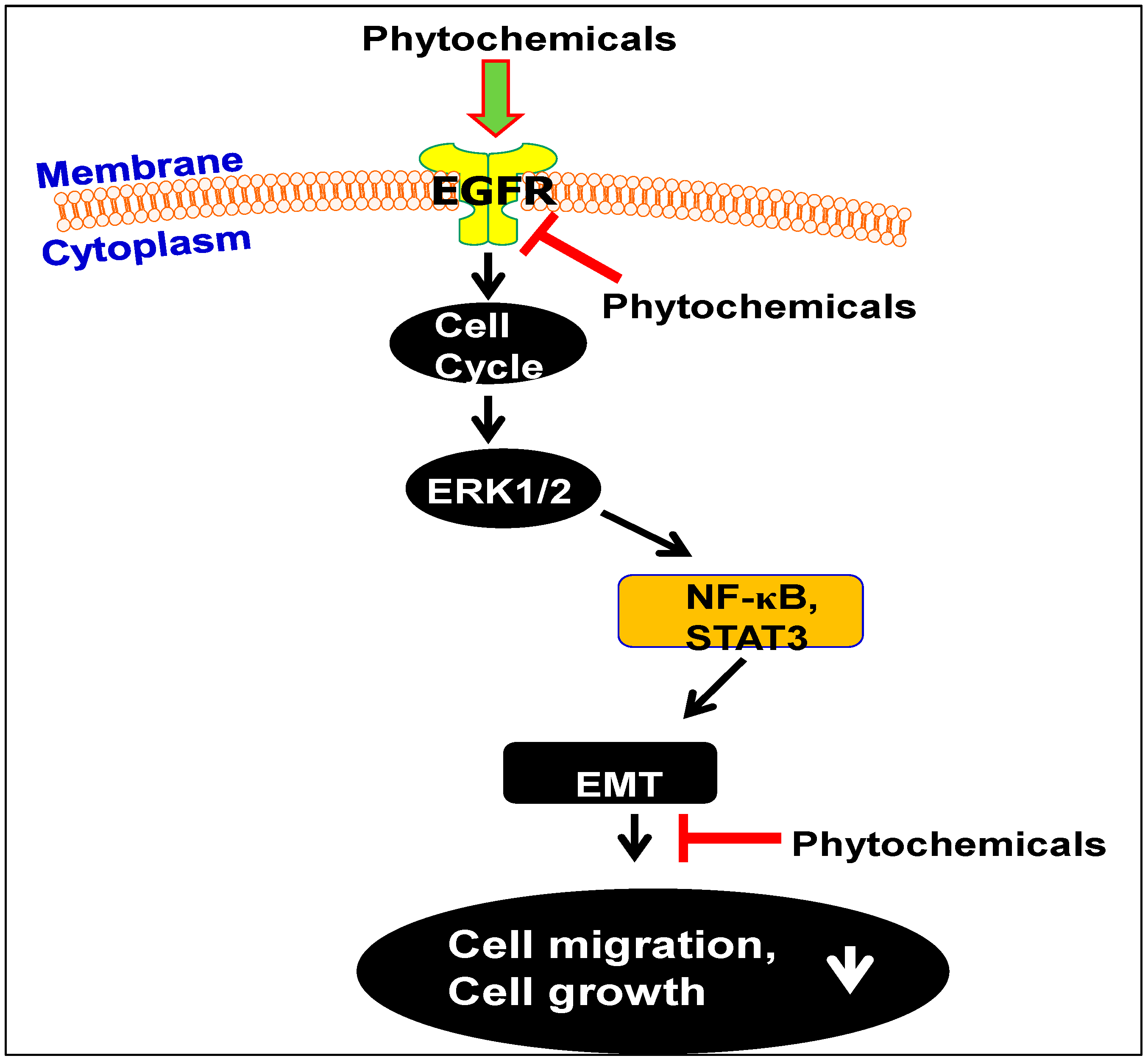 Molecules 21 01610 g003