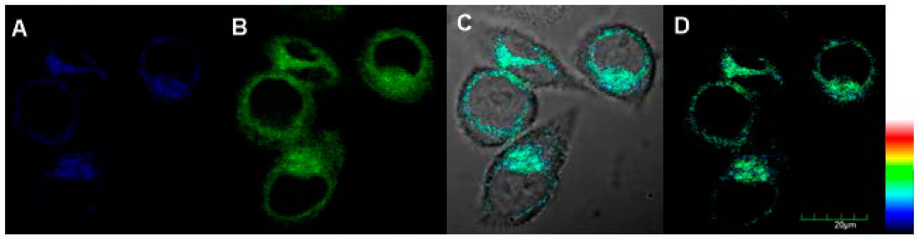 Molecules 21 01619 g006