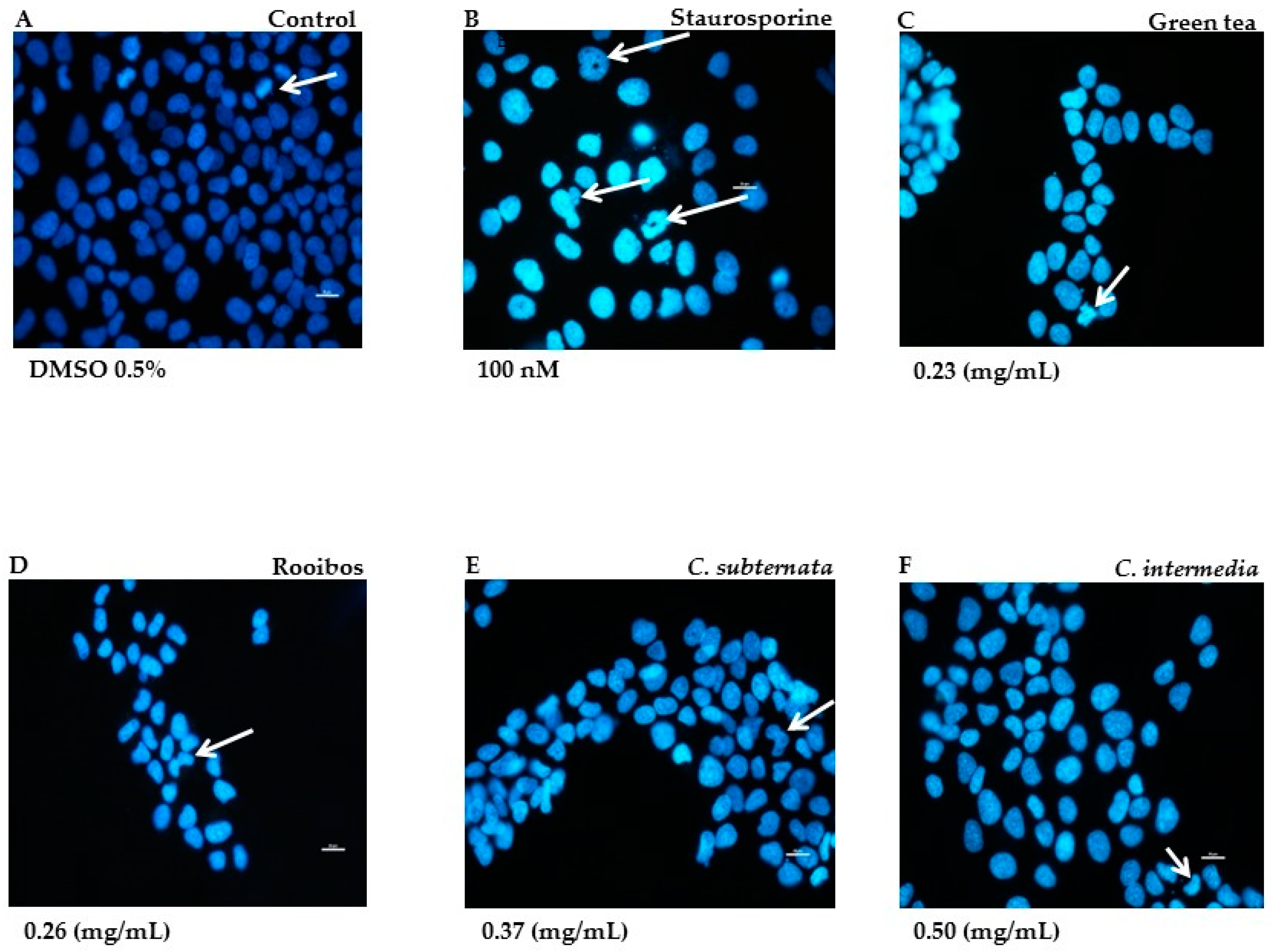 Molecules 21 01622 g001
