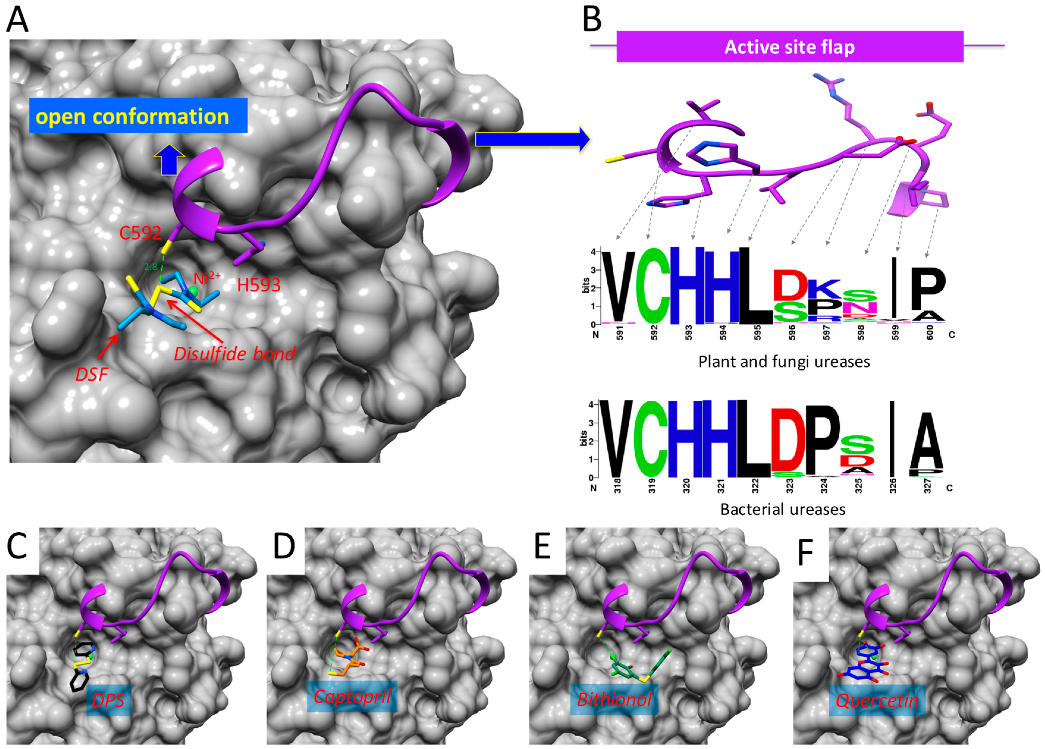 Molecules 21 01628 g005