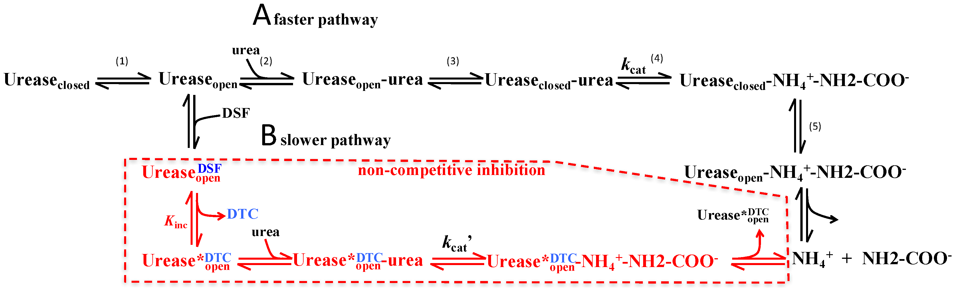 Molecules 21 01628 g006