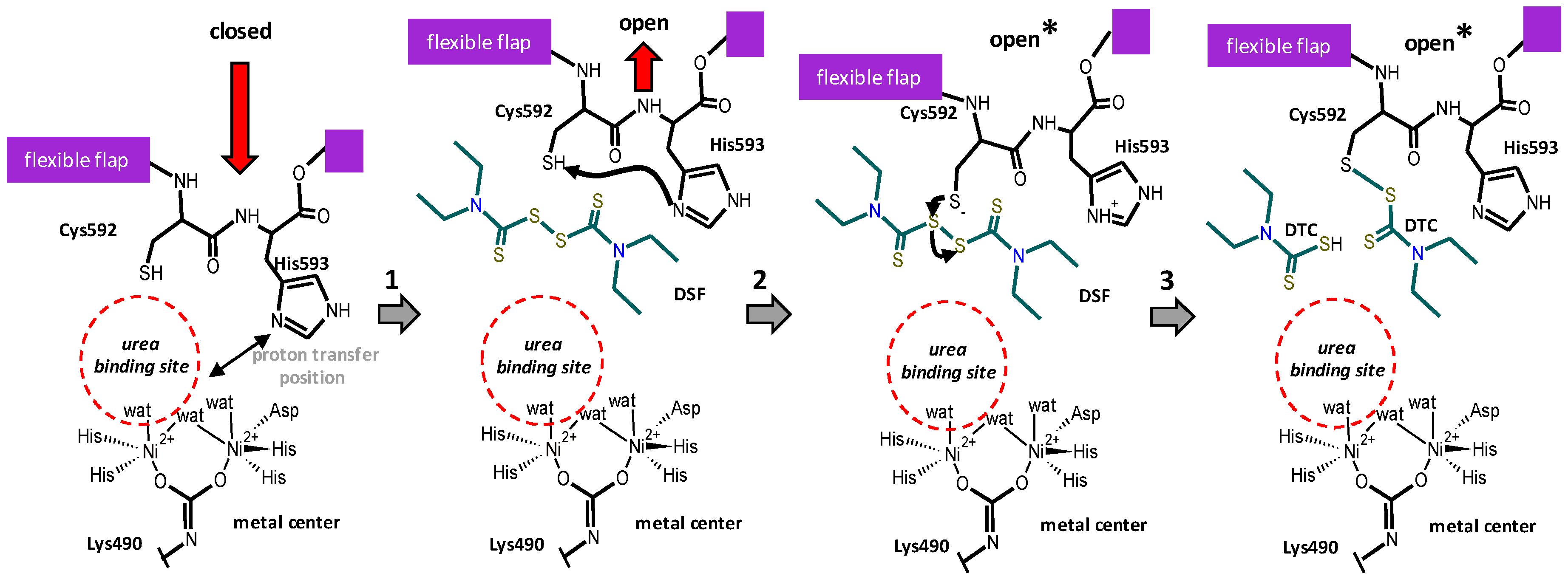 Molecules 21 01628 g007