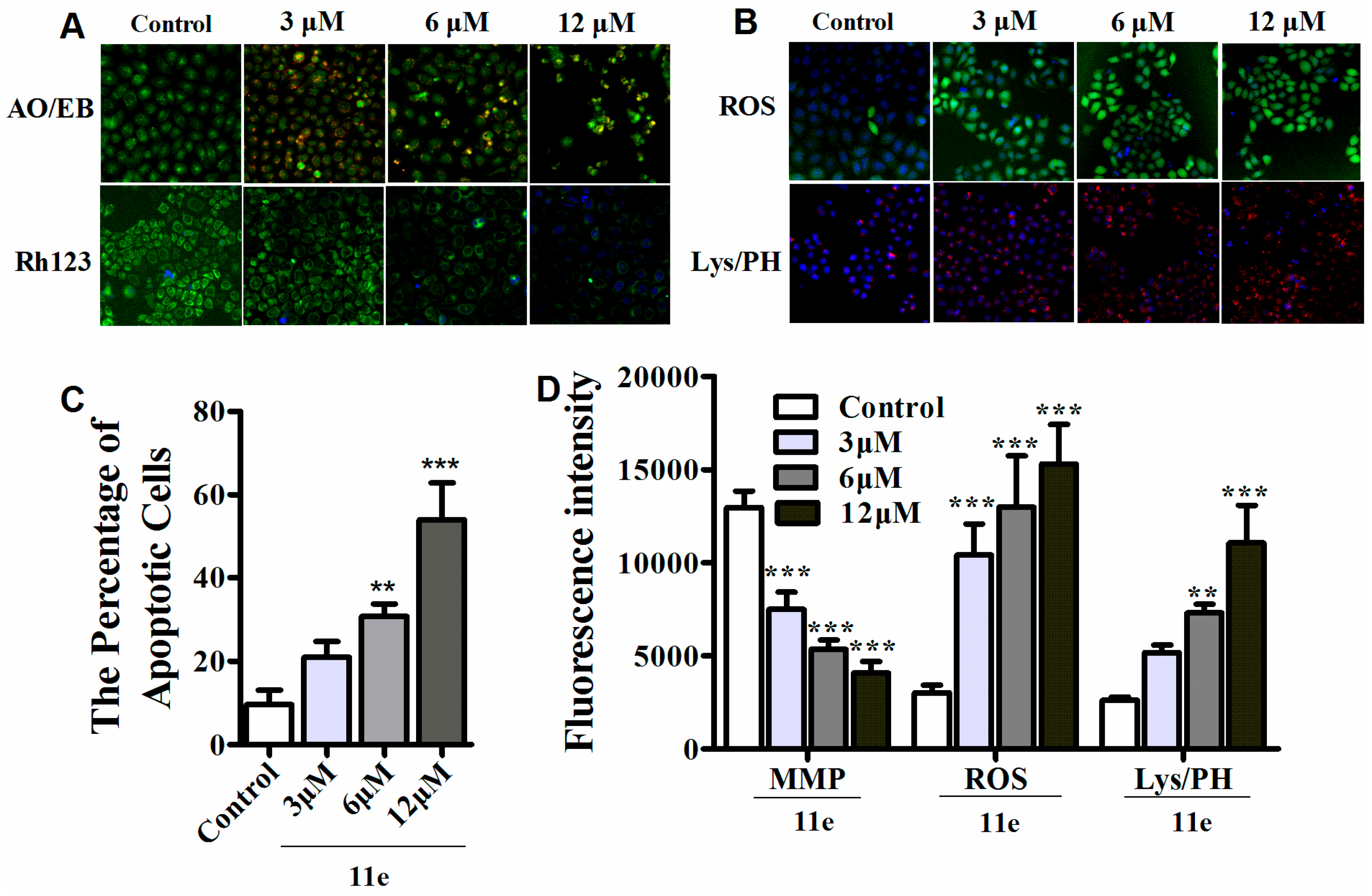 Molecules 21 01637 g003
