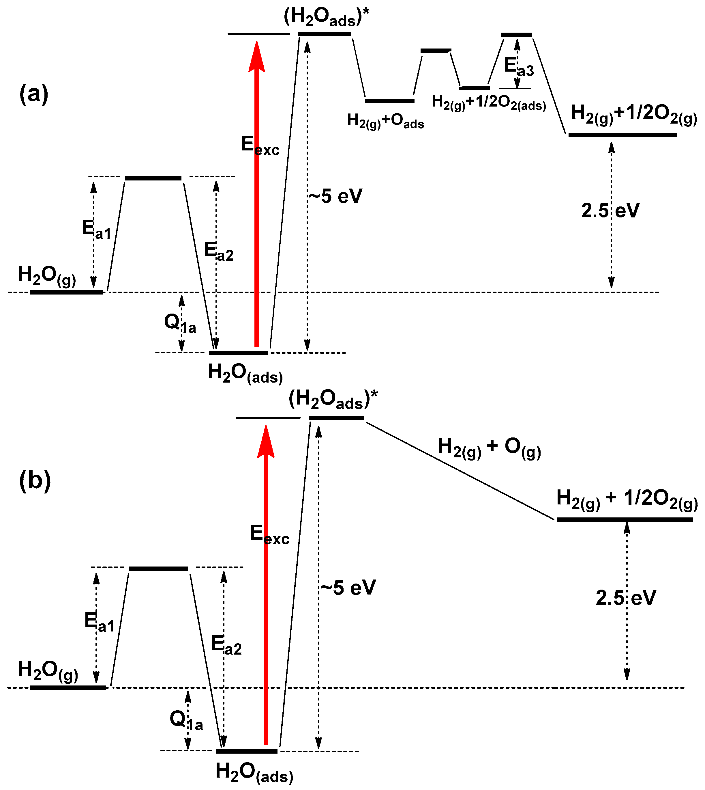 Molecules 21 01638 g007