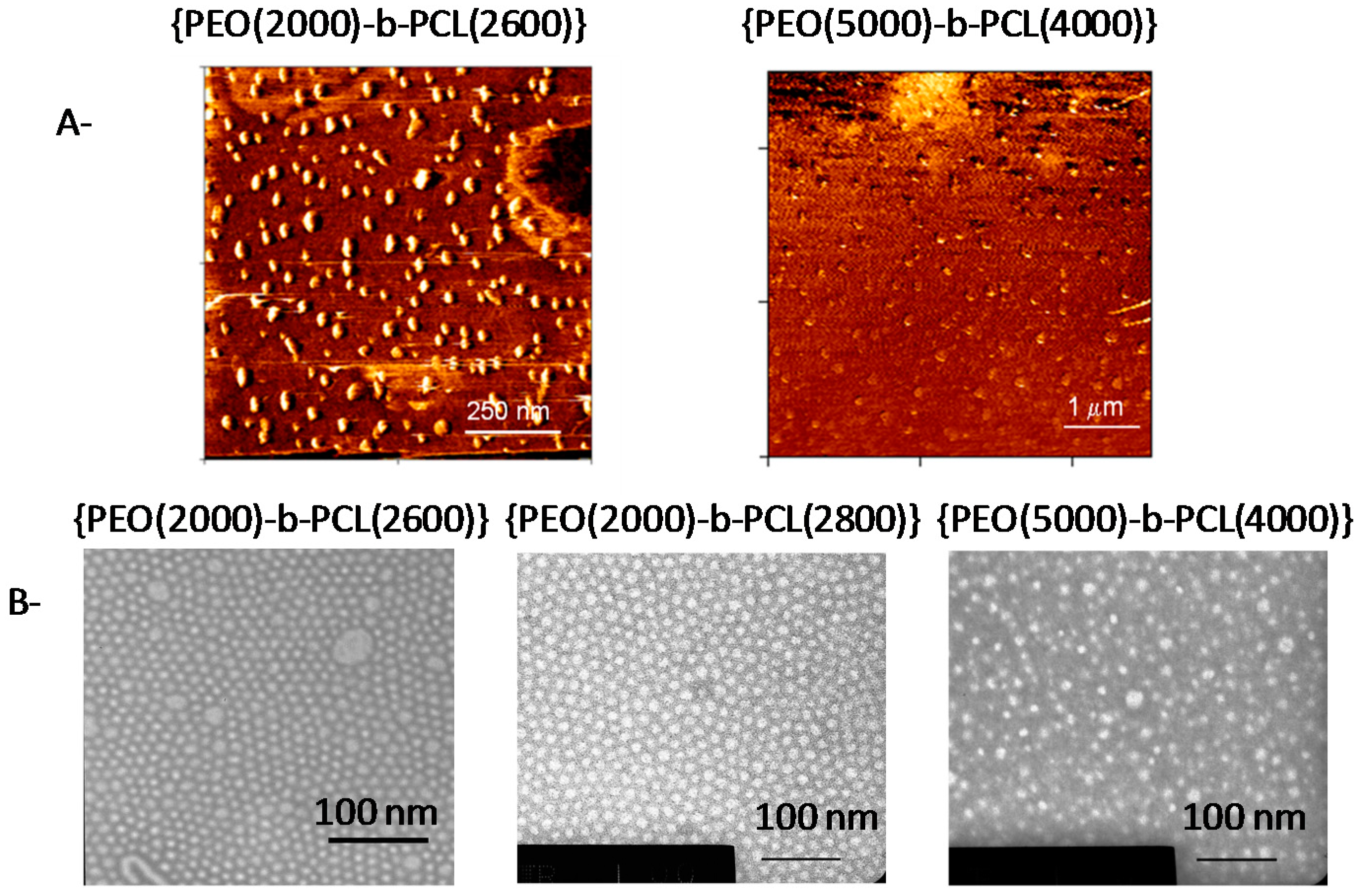 Molecules 21 01643 g001