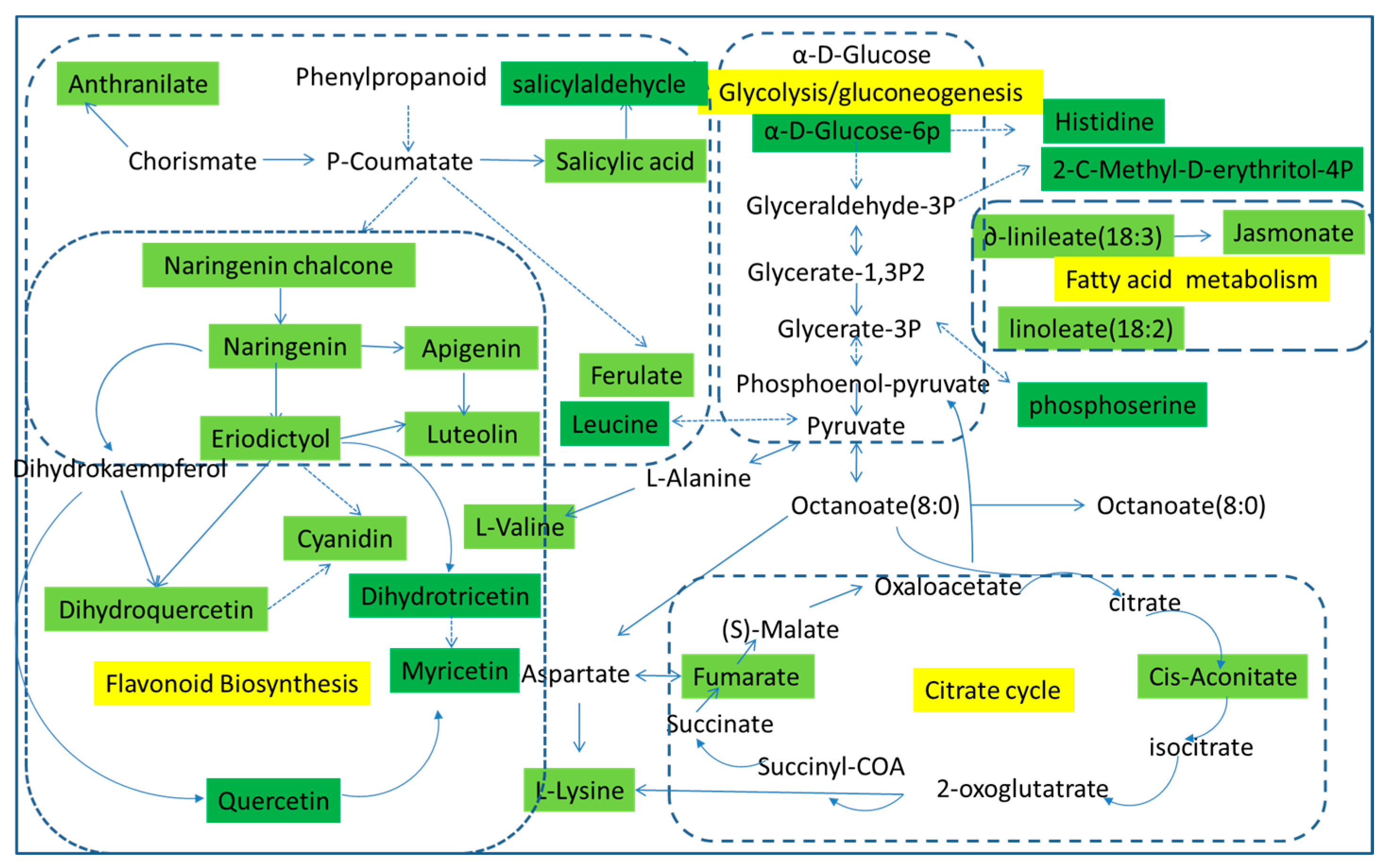 Molecules 21 01648 g004