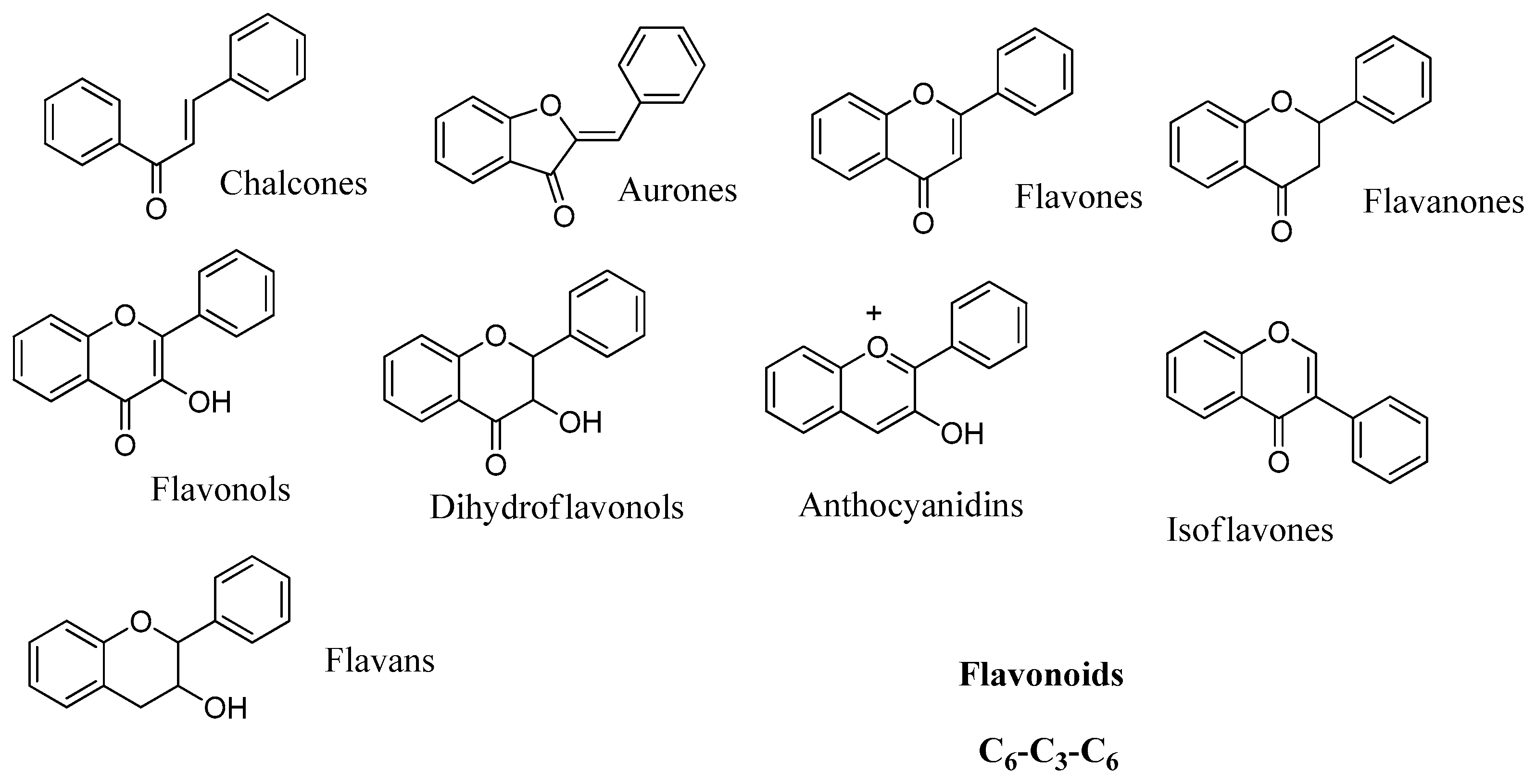 Molecules 21 01649 g004