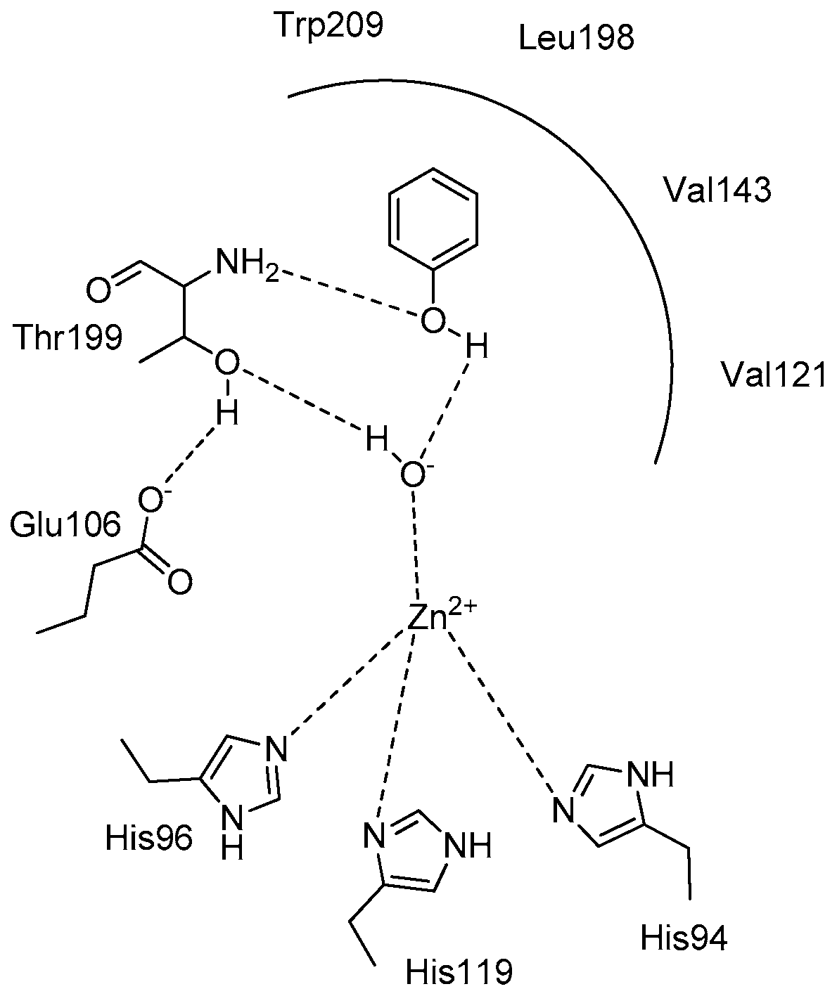 Molecules 21 01649 g005