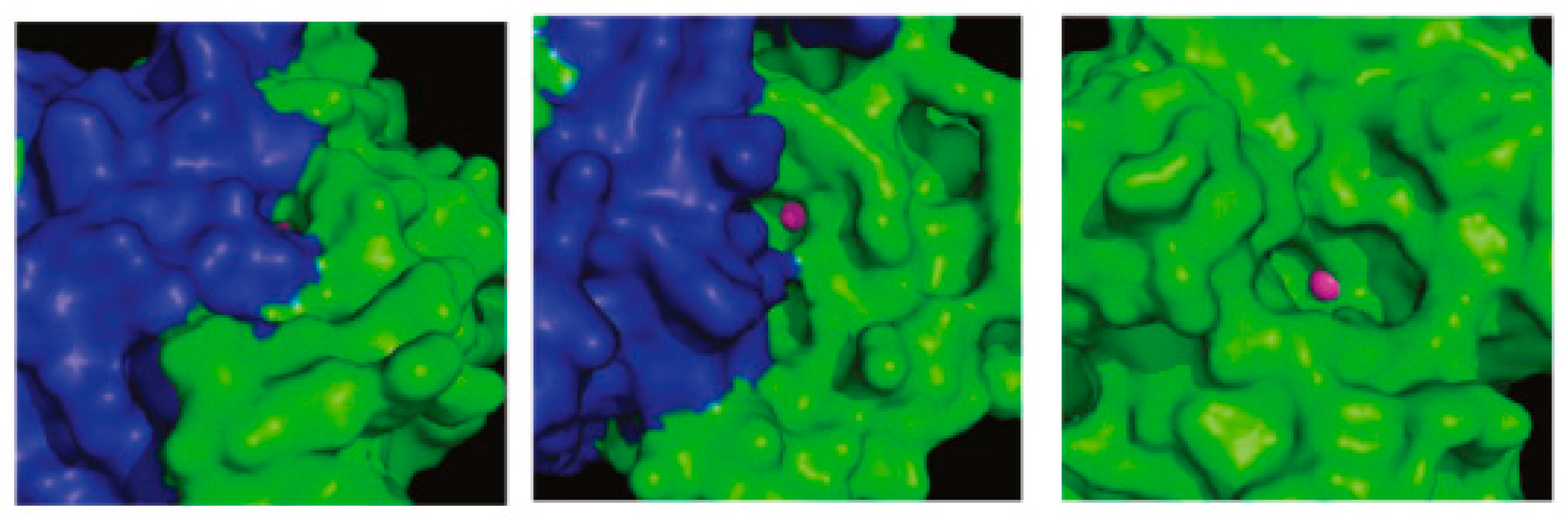 Molecules 21 01649 g023