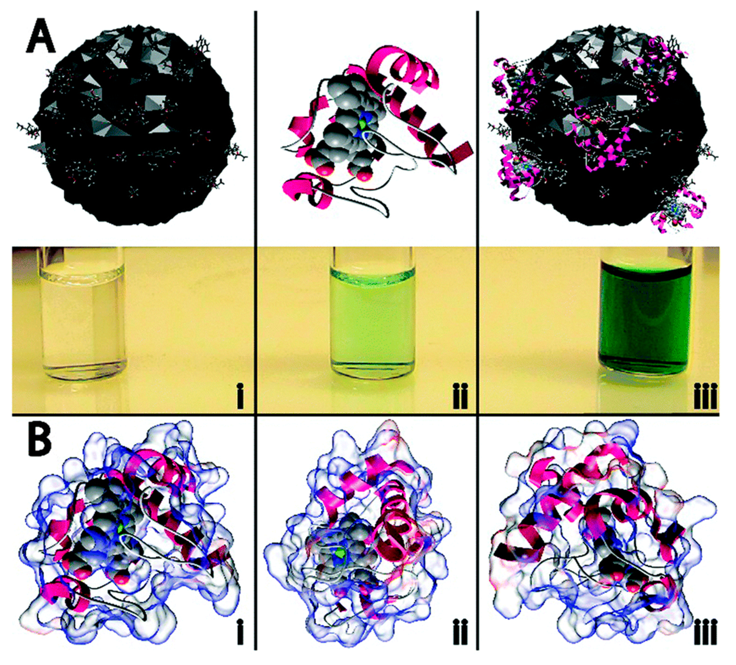 Molecules 21 01653 g006