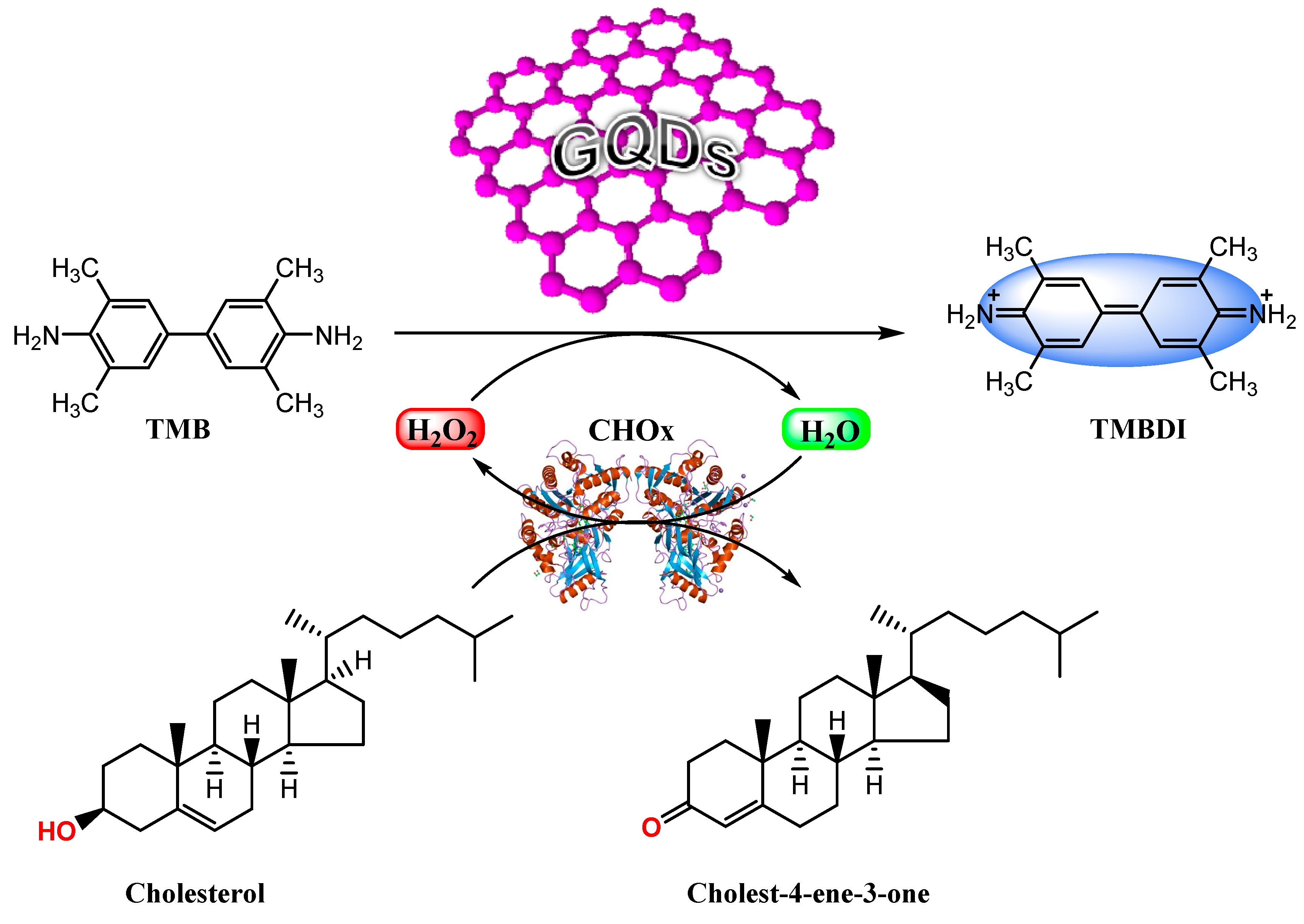 Molecules 21 01653 sch002