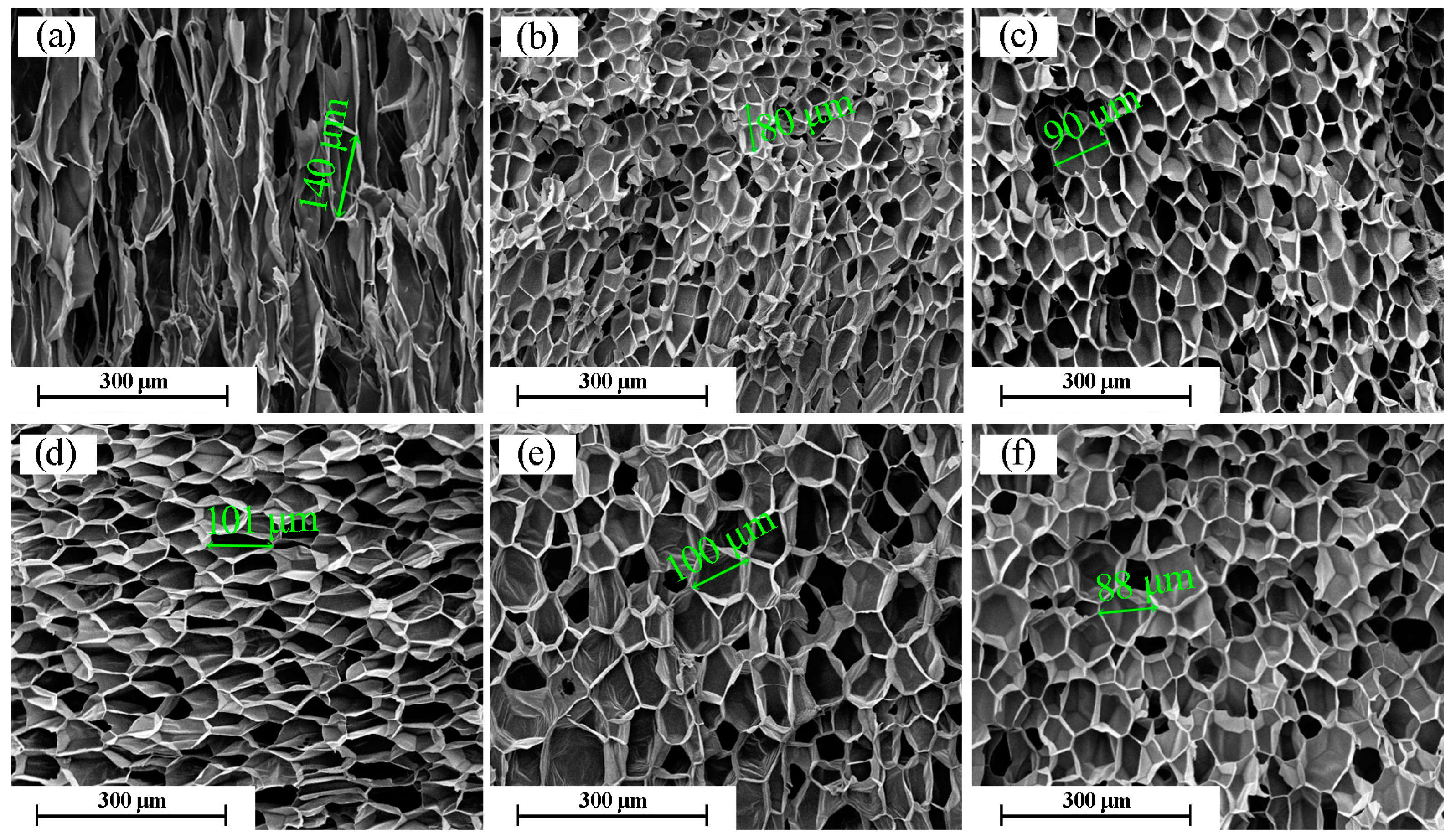 Molecules 21 01660 g004