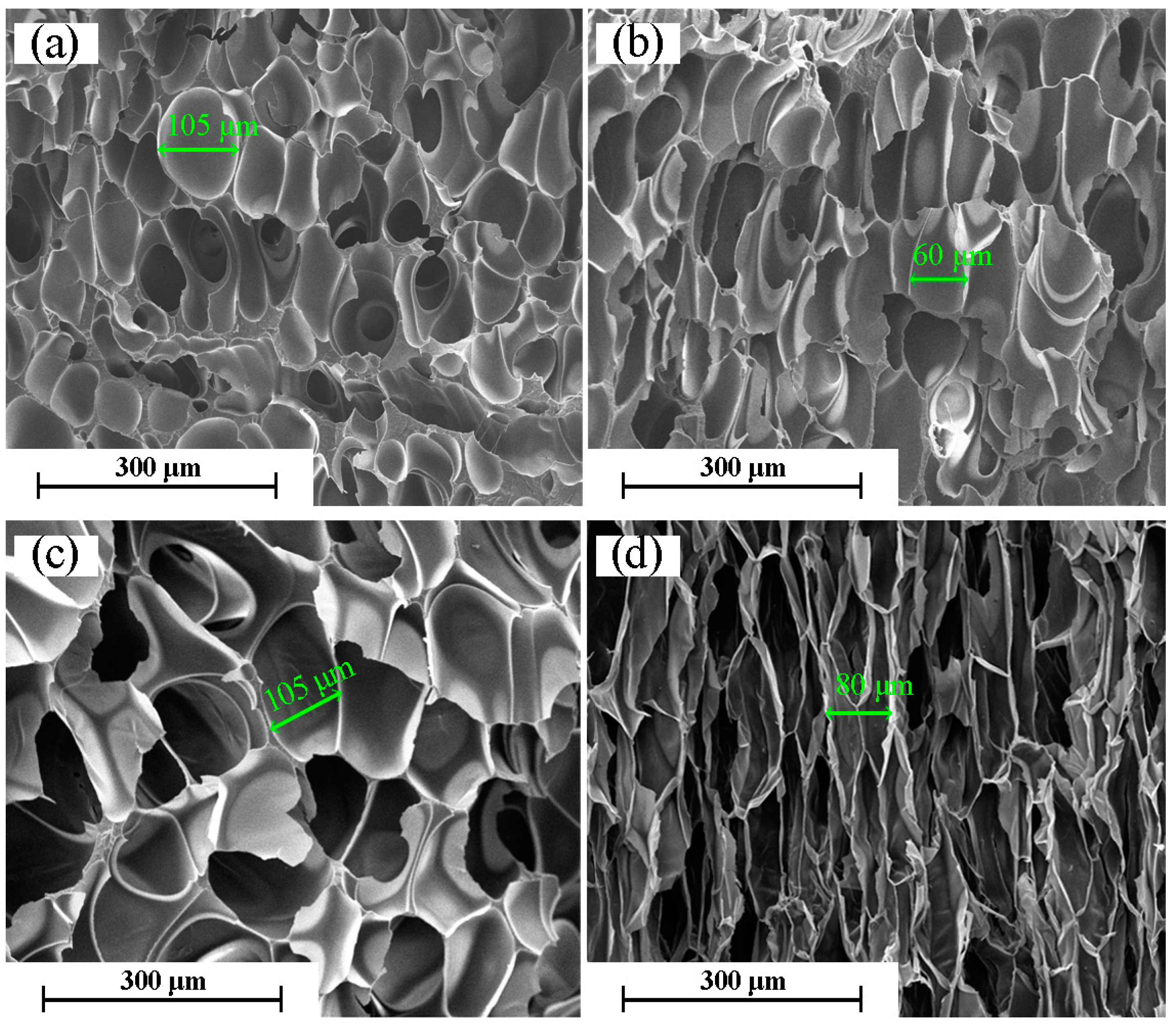 Molecules 21 01660 g006