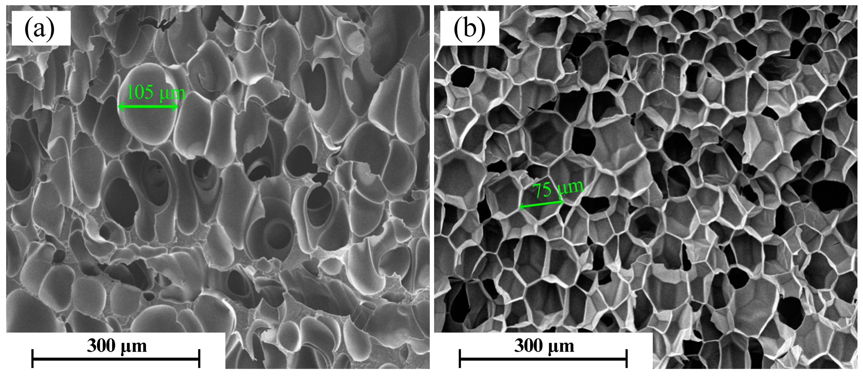 Molecules 21 01660 g009