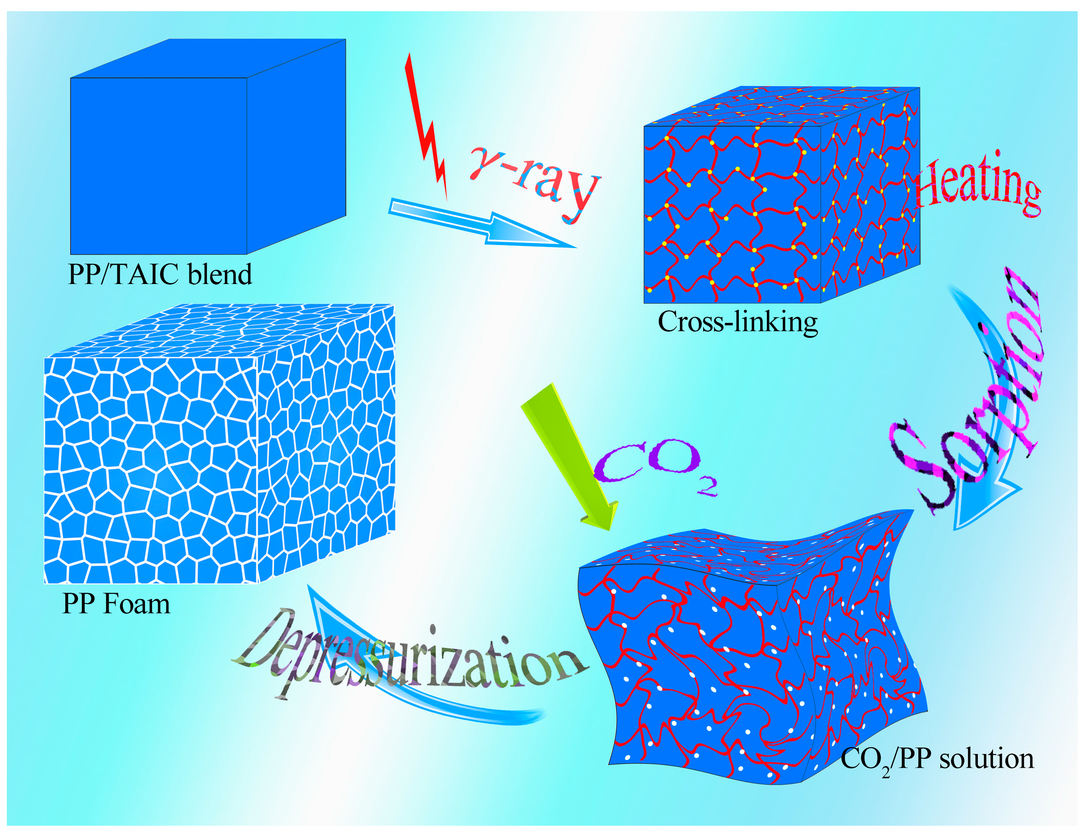 Molecules 21 01660 g010
