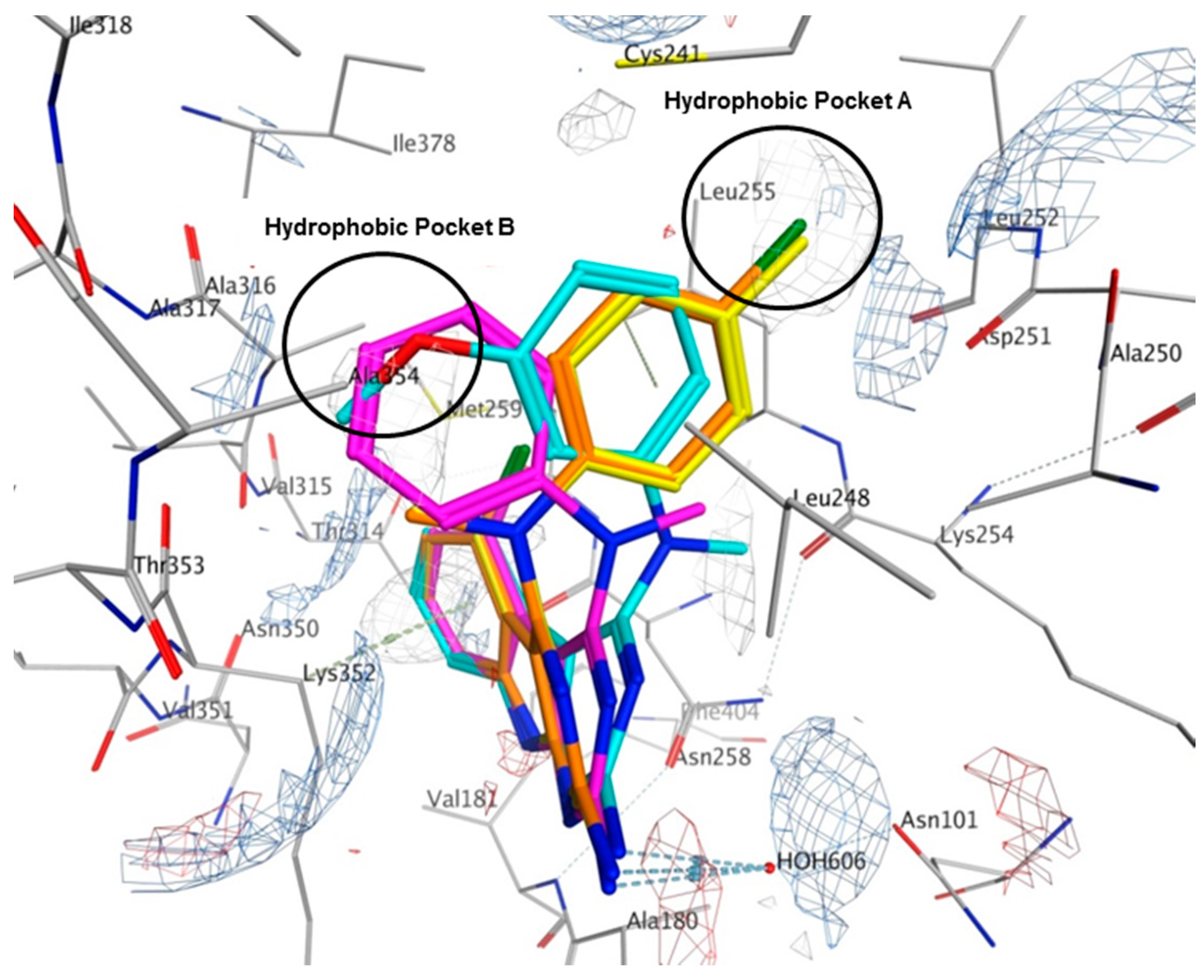 Molecules 21 01661 g008