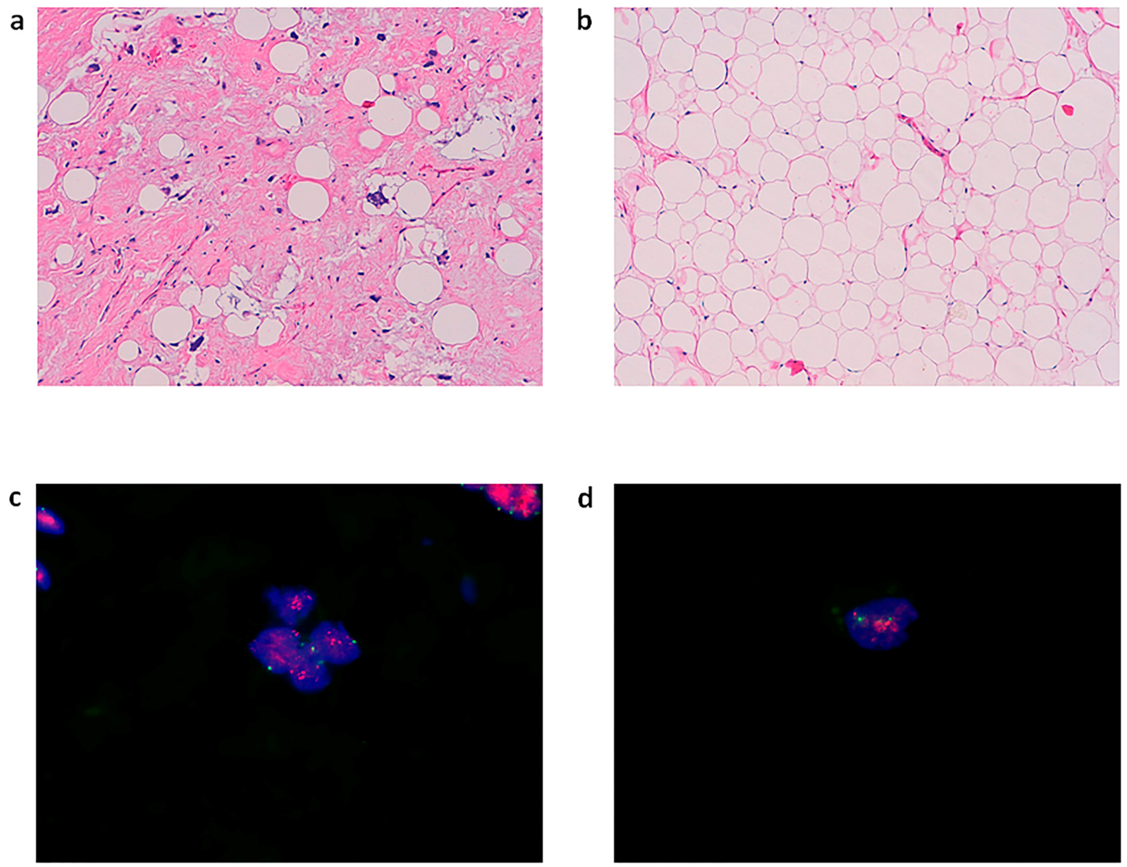 Molecules 21 01662 g001