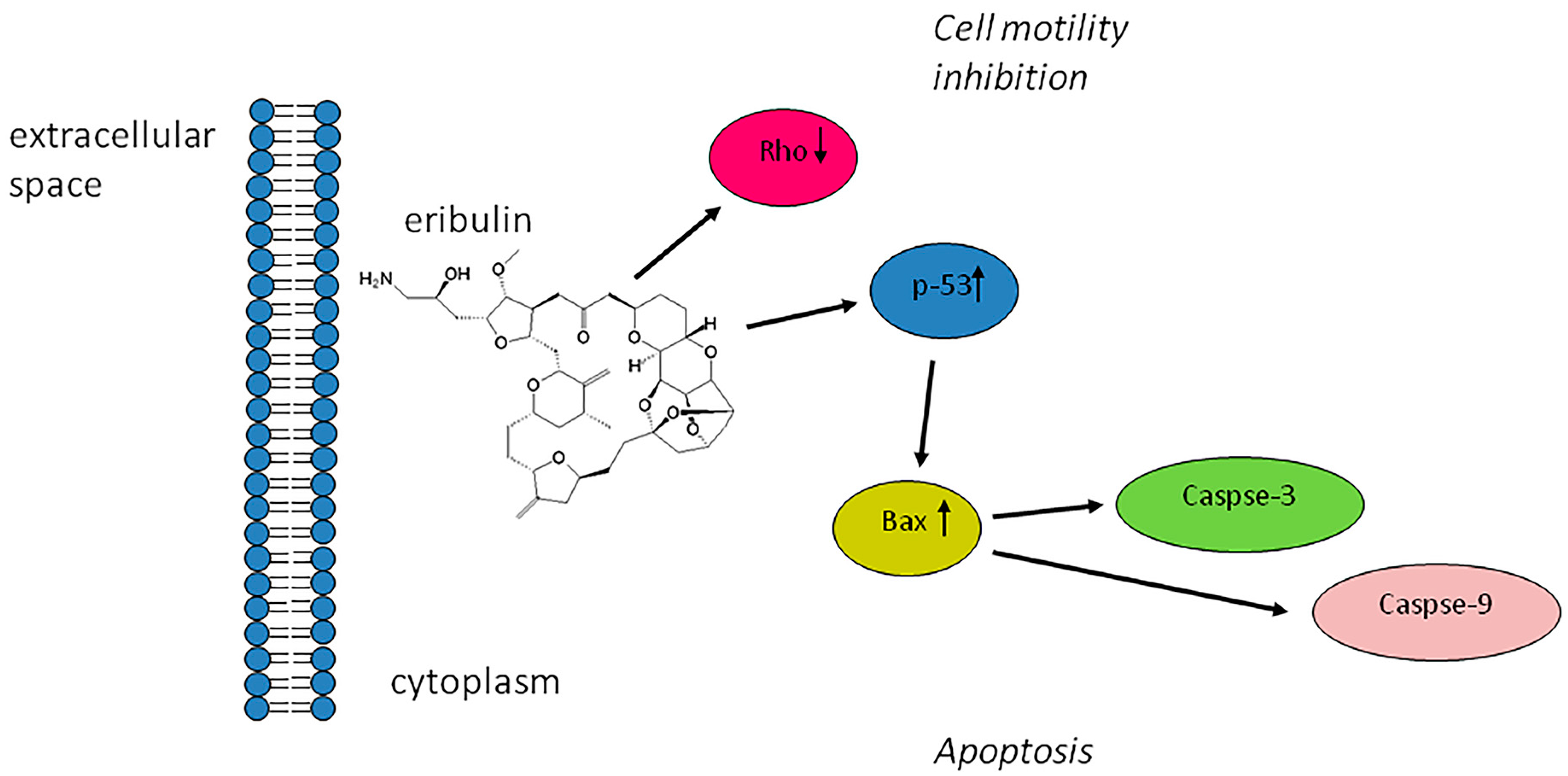 Molecules 21 01662 g004