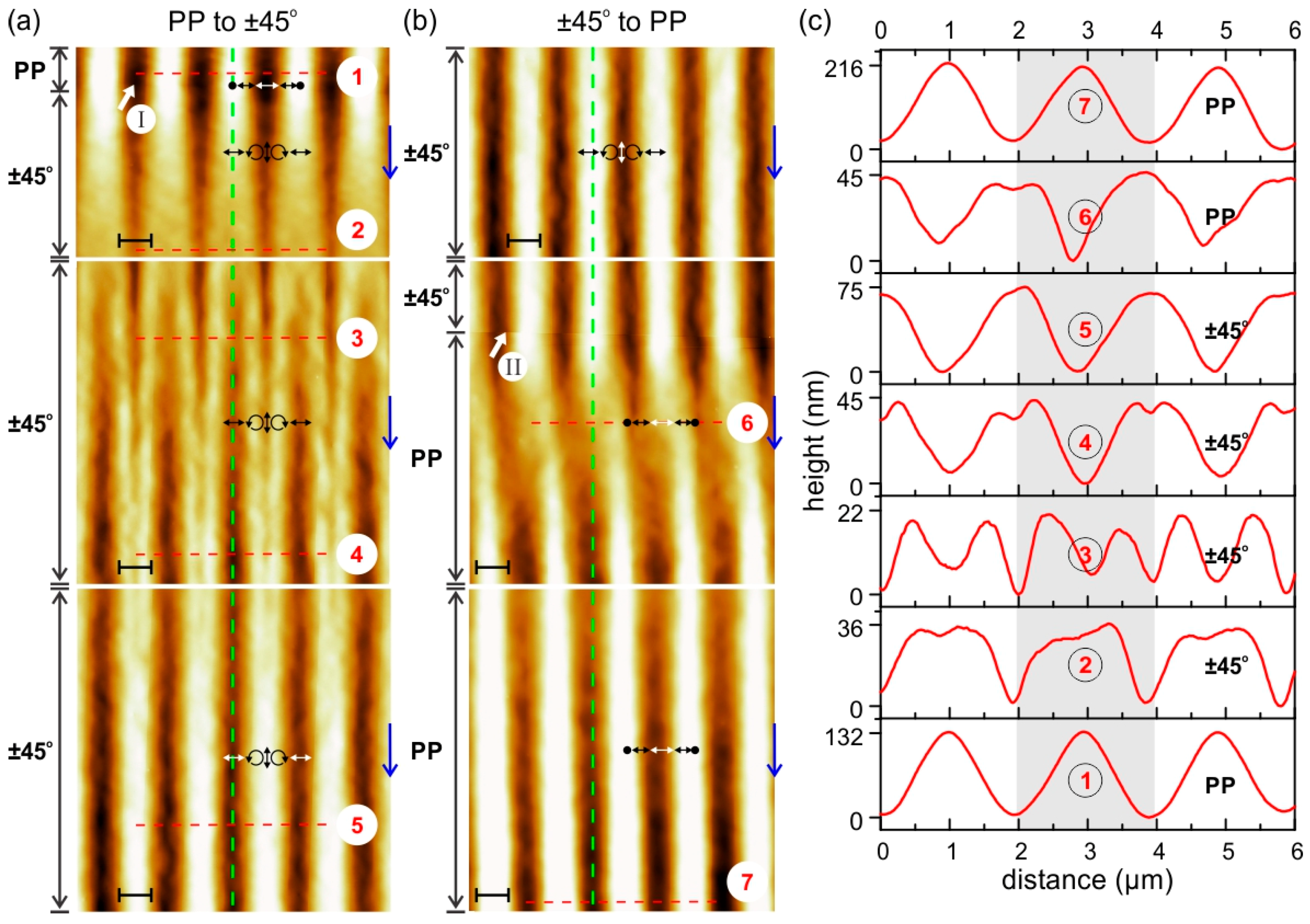 Molecules 21 01663 g001