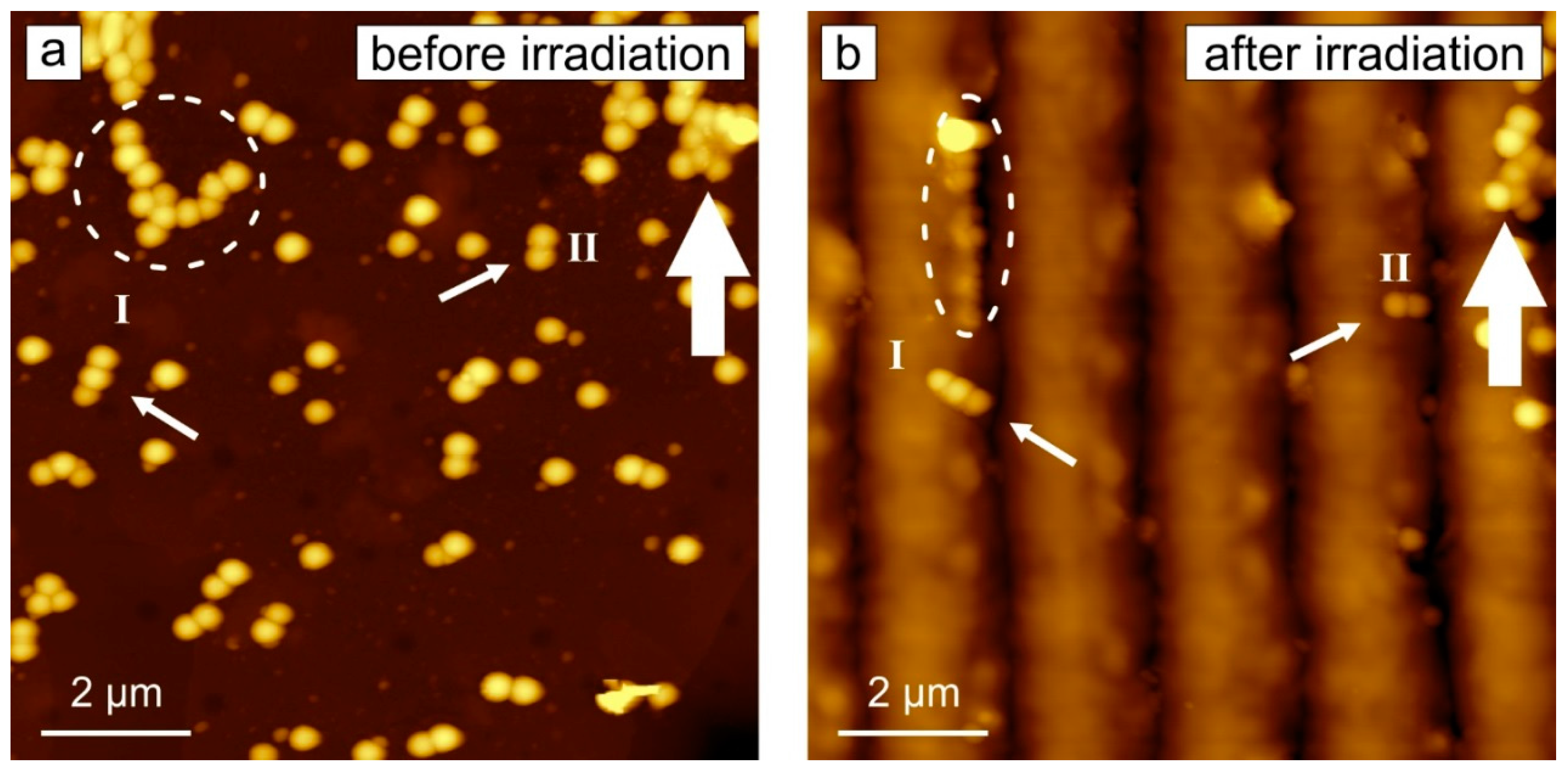 Molecules 21 01663 g002