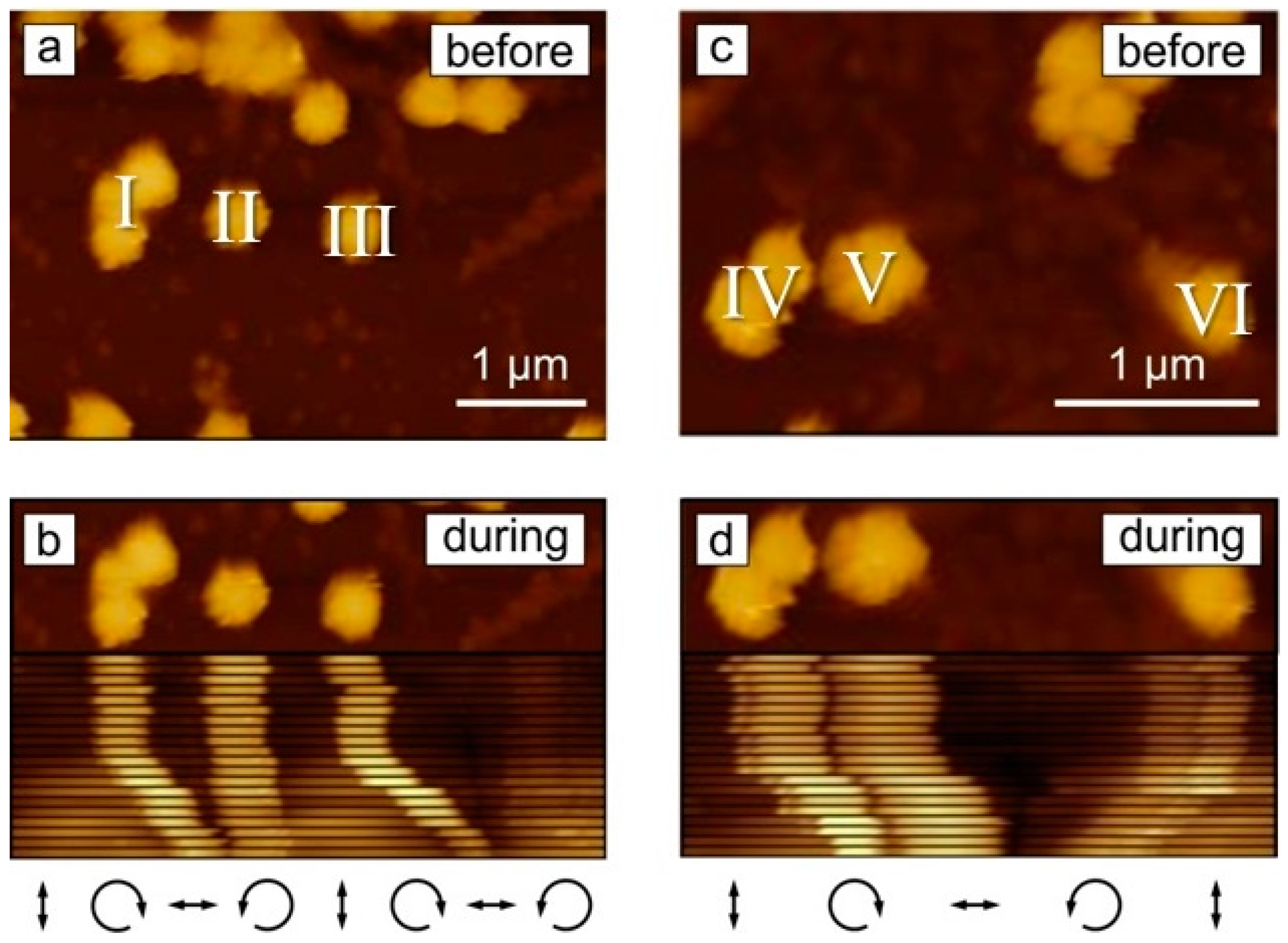 Molecules 21 01663 g003