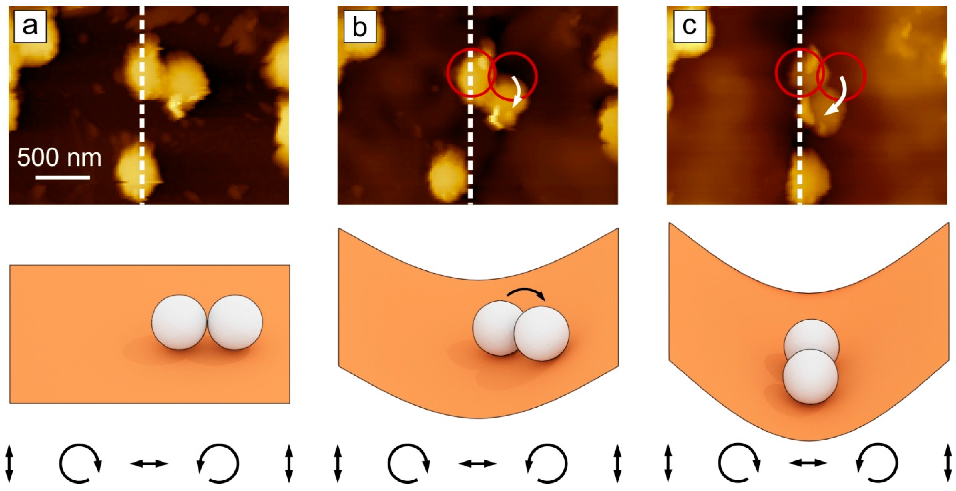 Molecules 21 01663 g004