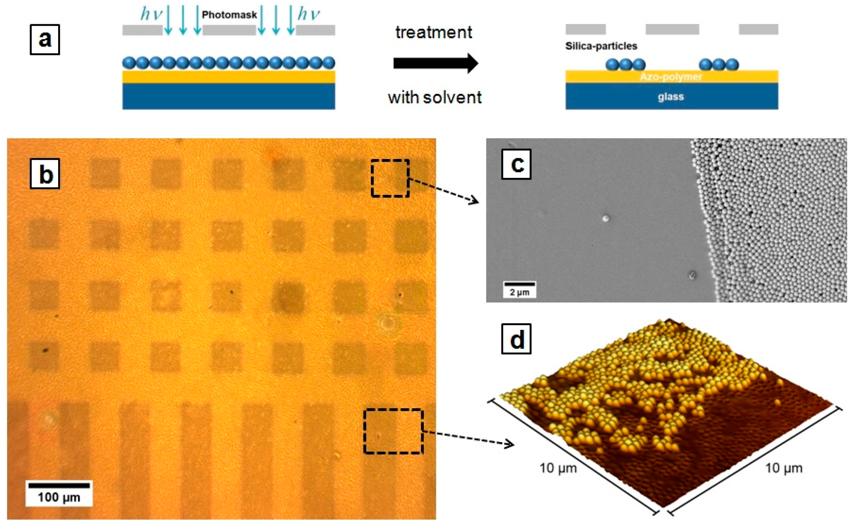 Molecules 21 01663 g006