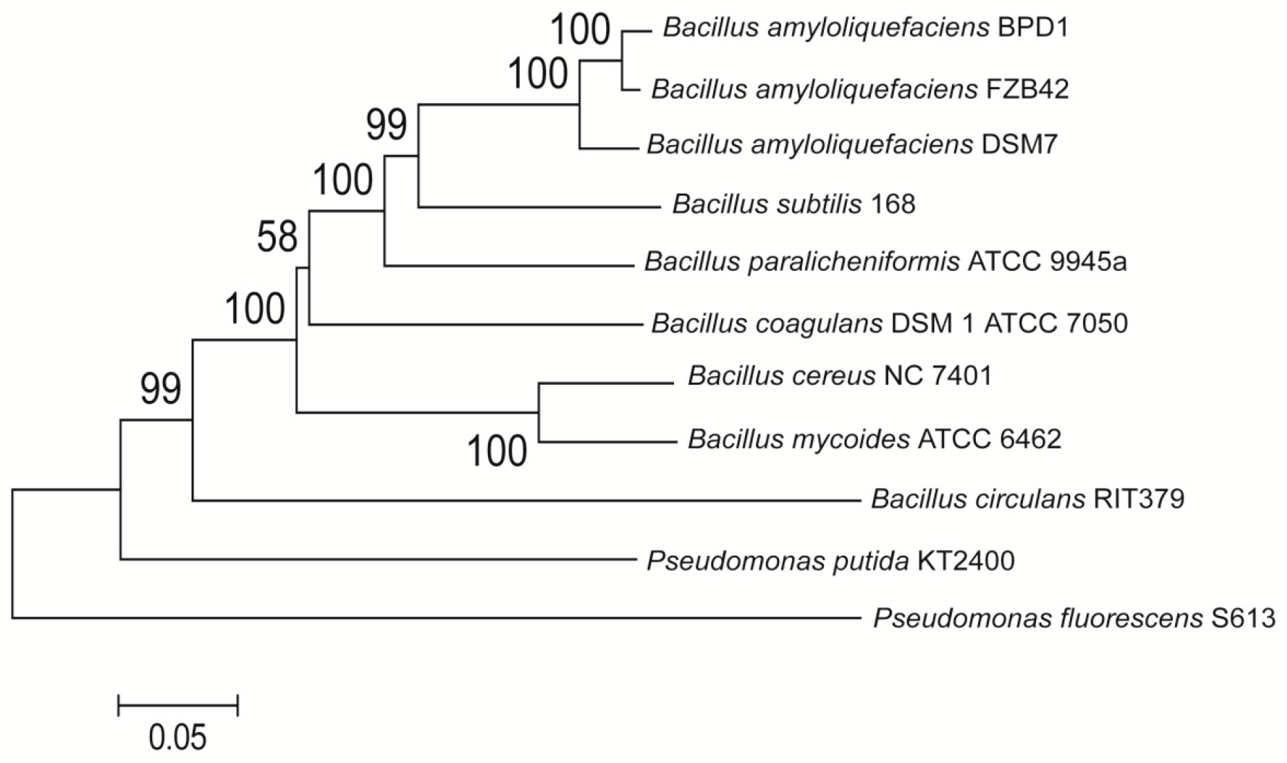 Molecules 21 01670 g001