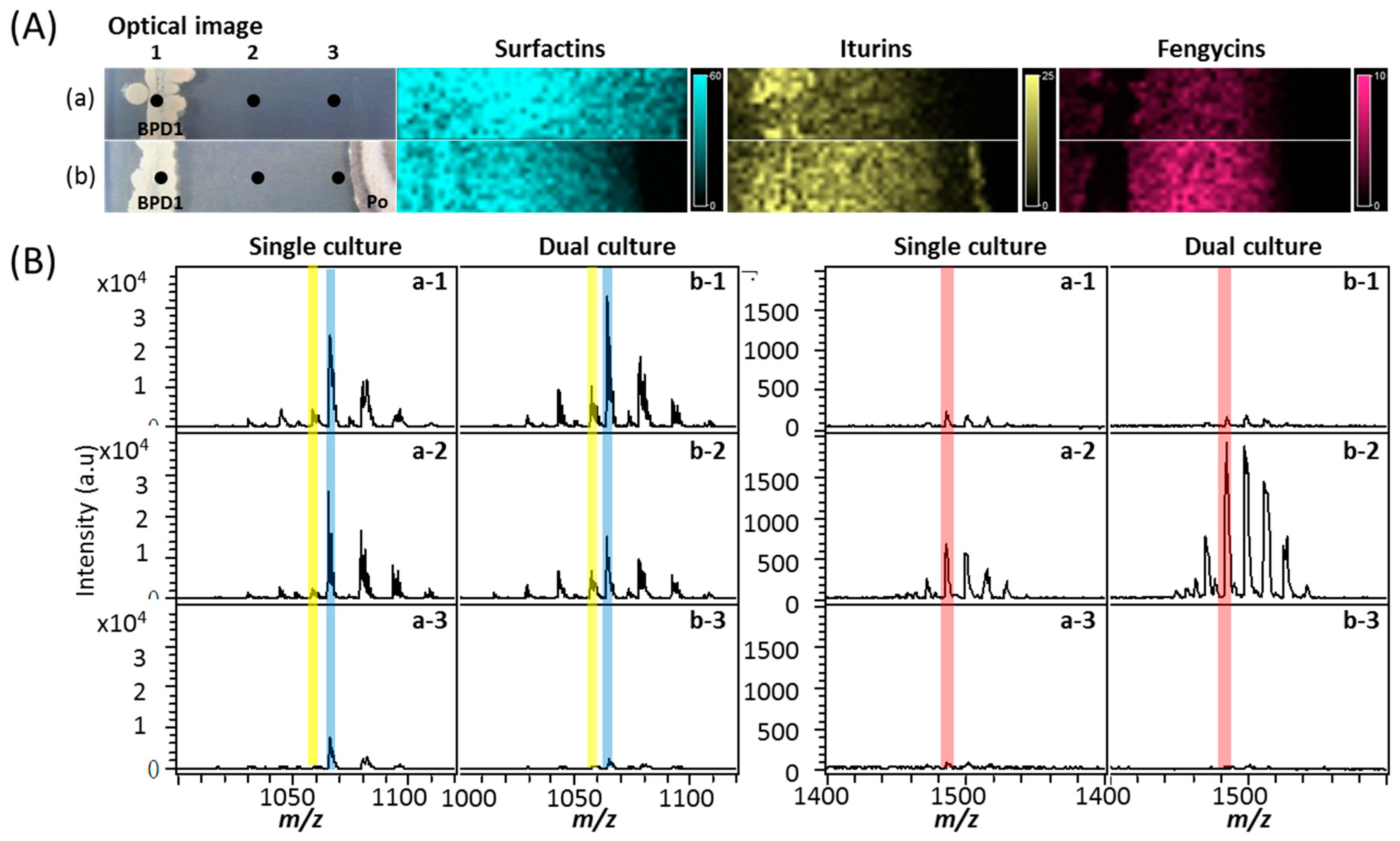 Molecules 21 01670 g003