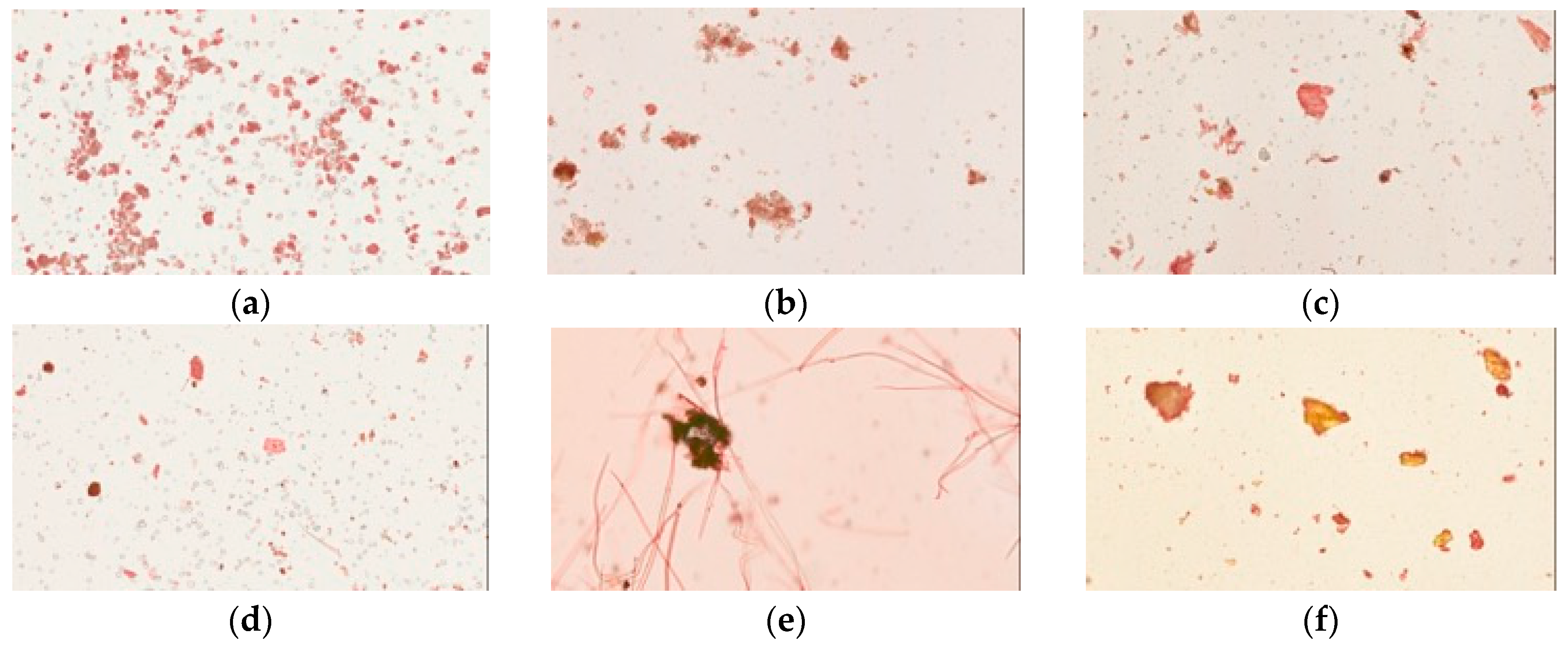 Molecules 21 01673 g003a