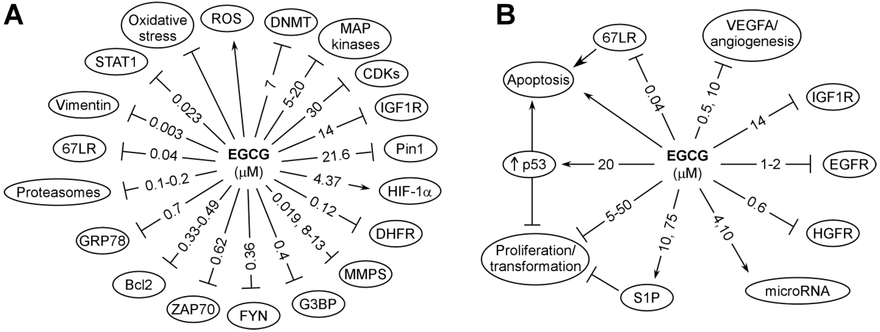 Molecules 21 01679 g002
