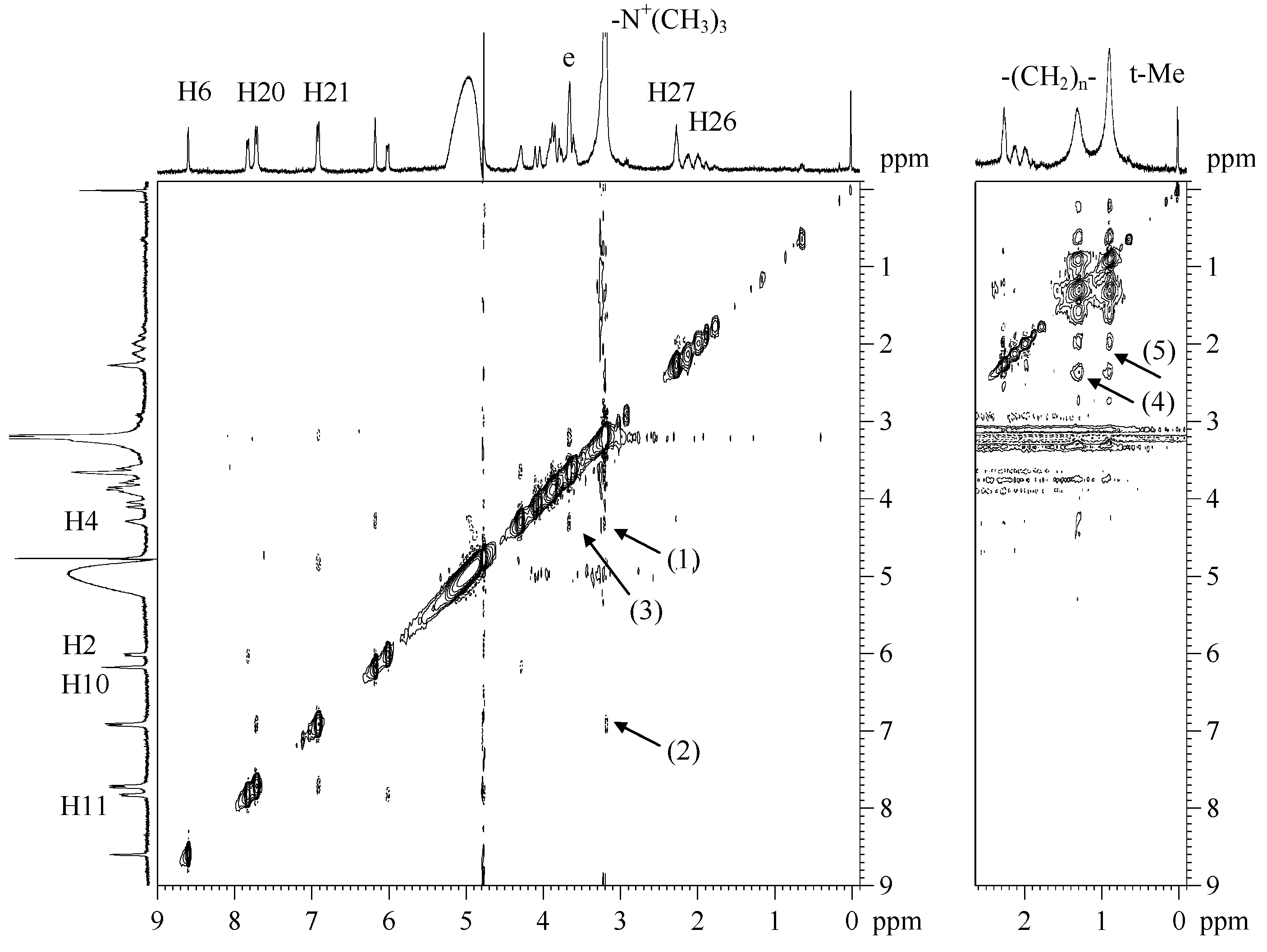 Molecules 21 01689 g006