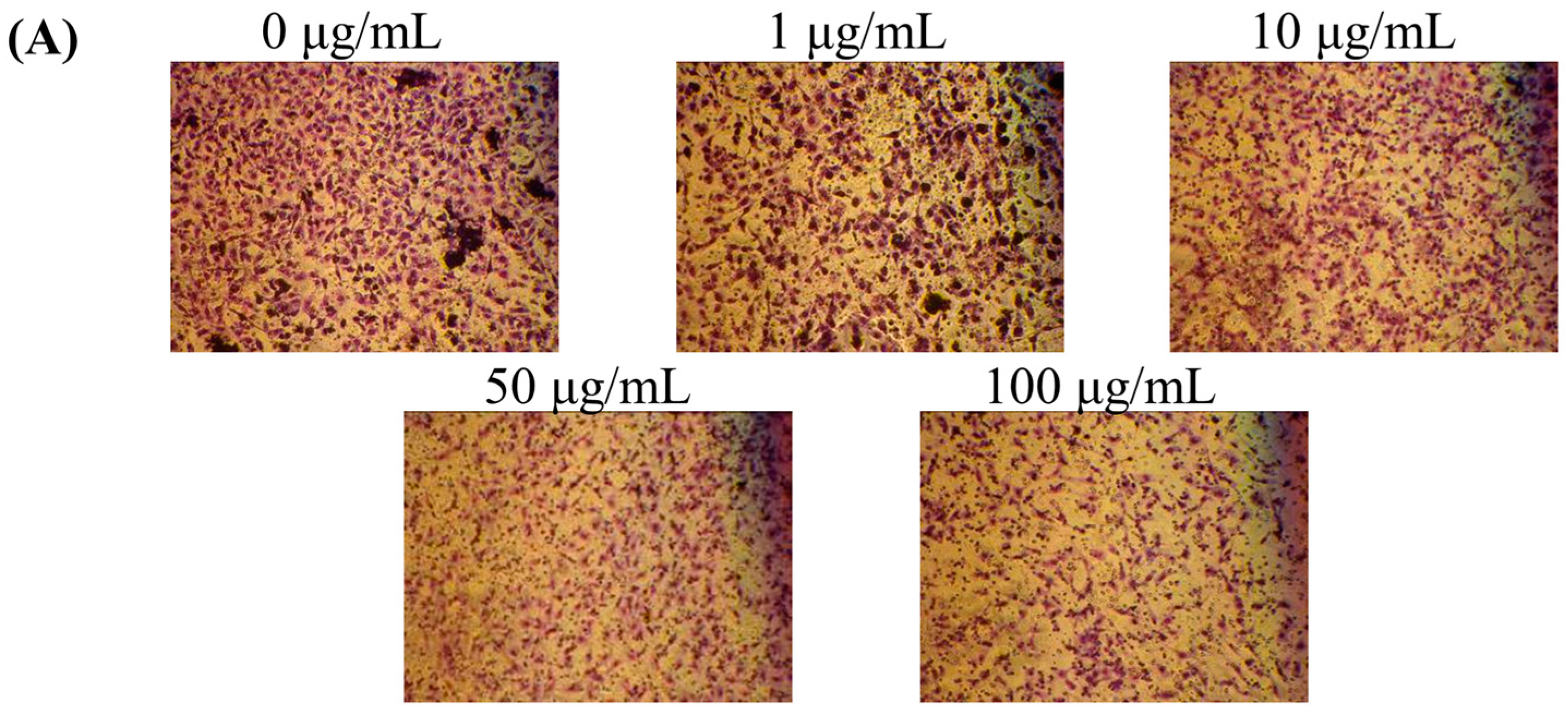 Molecules 21 01691 g003a