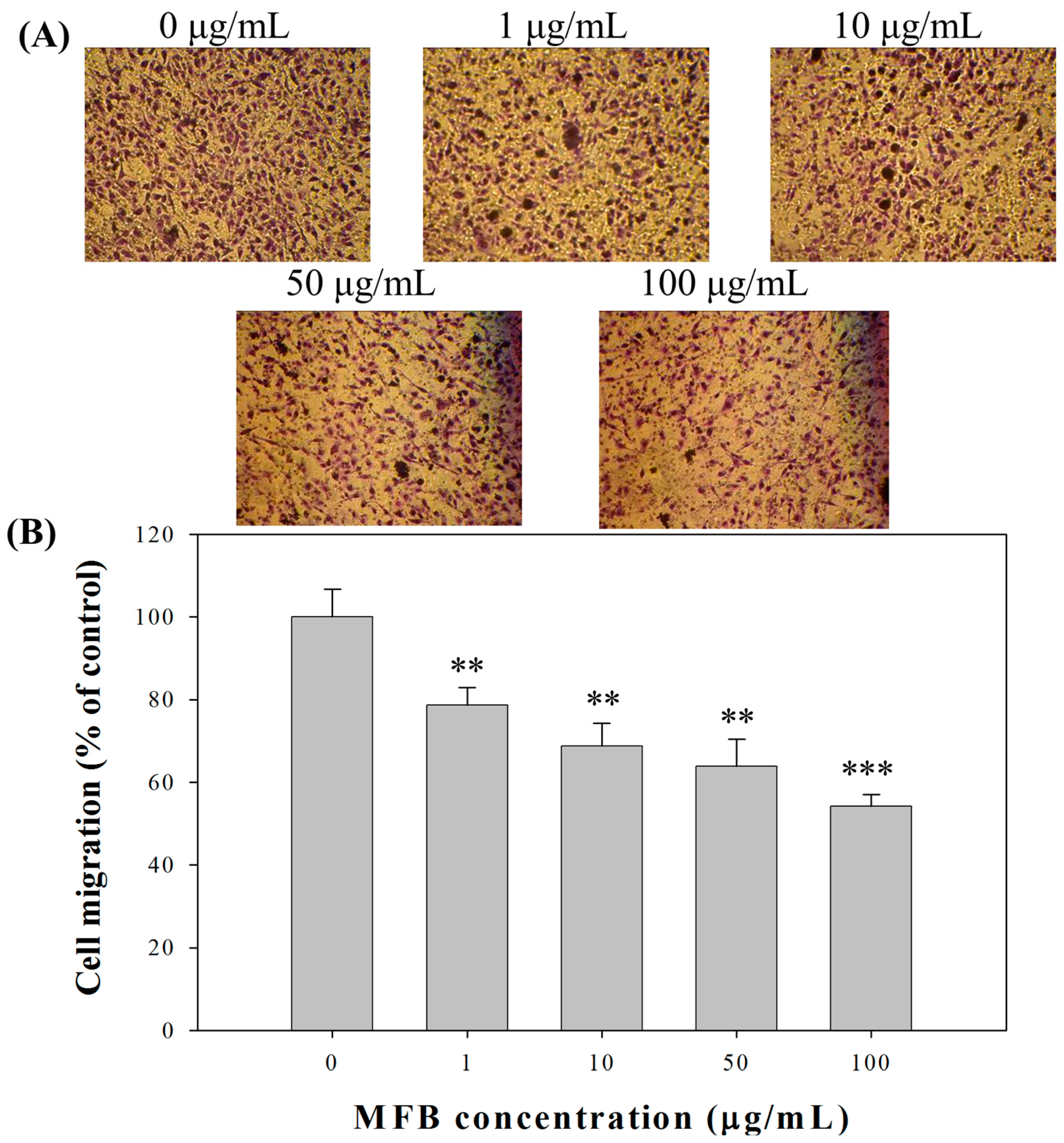 Molecules 21 01691 g004