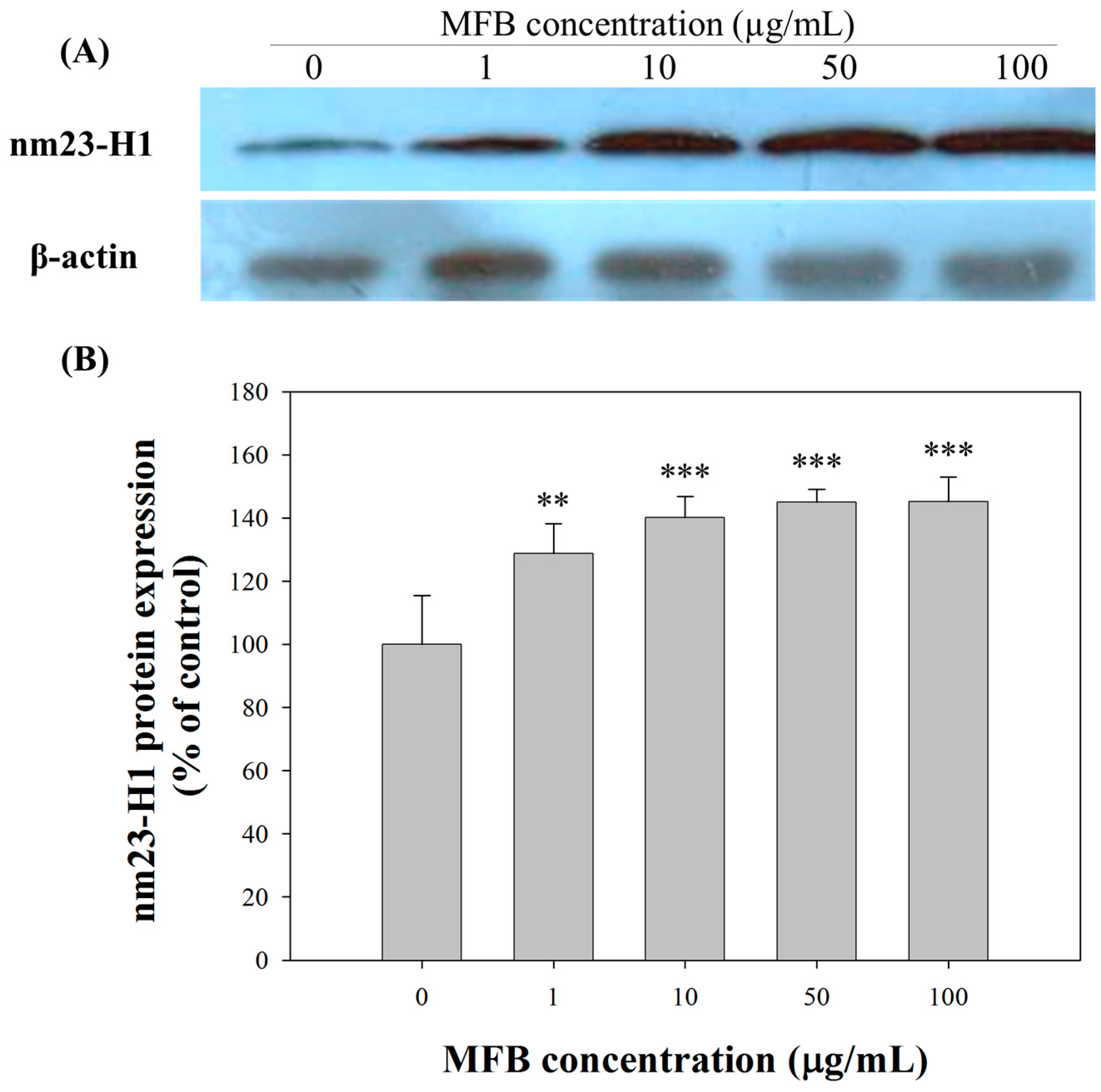 Molecules 21 01691 g005