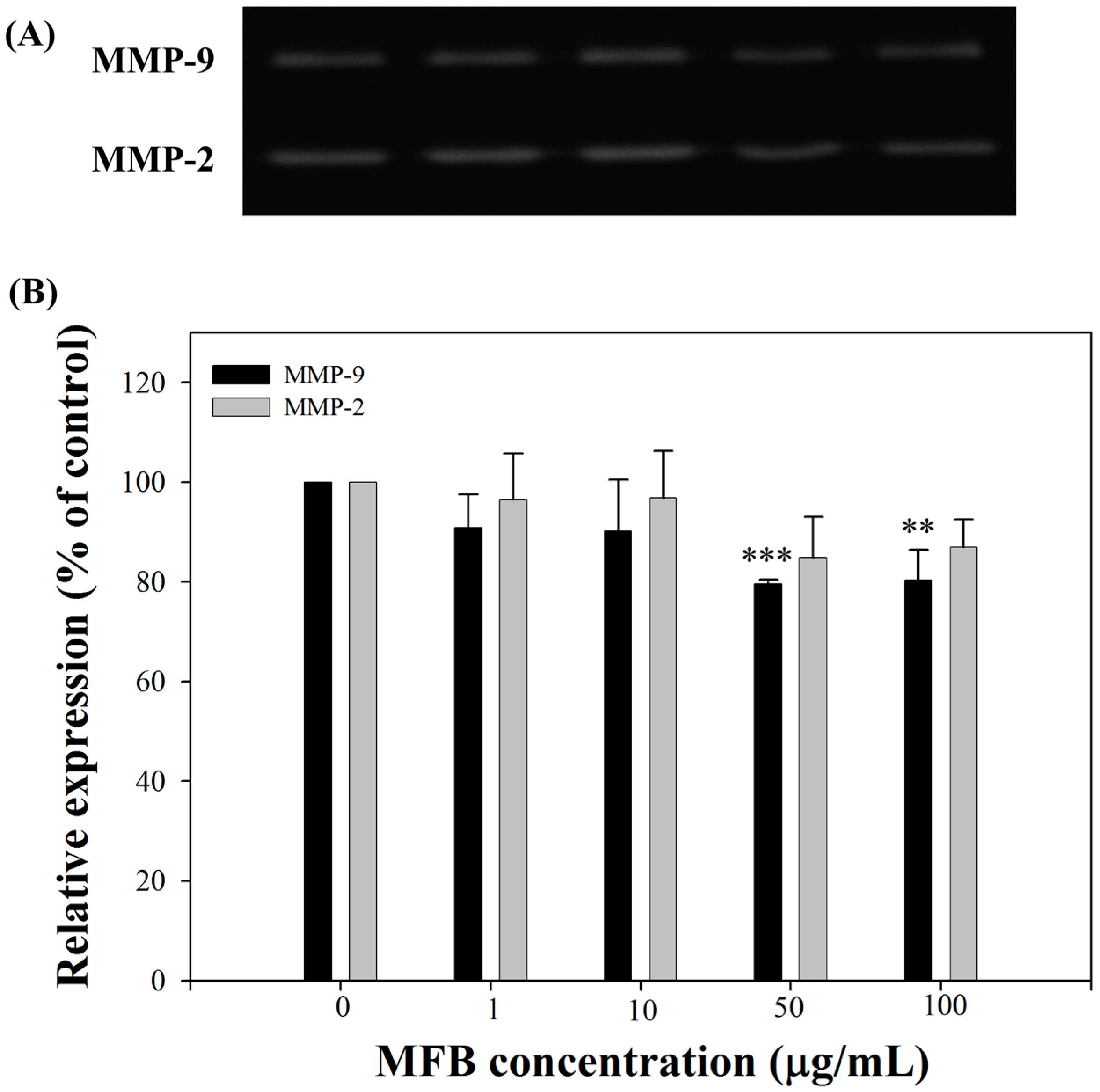 Molecules 21 01691 g006