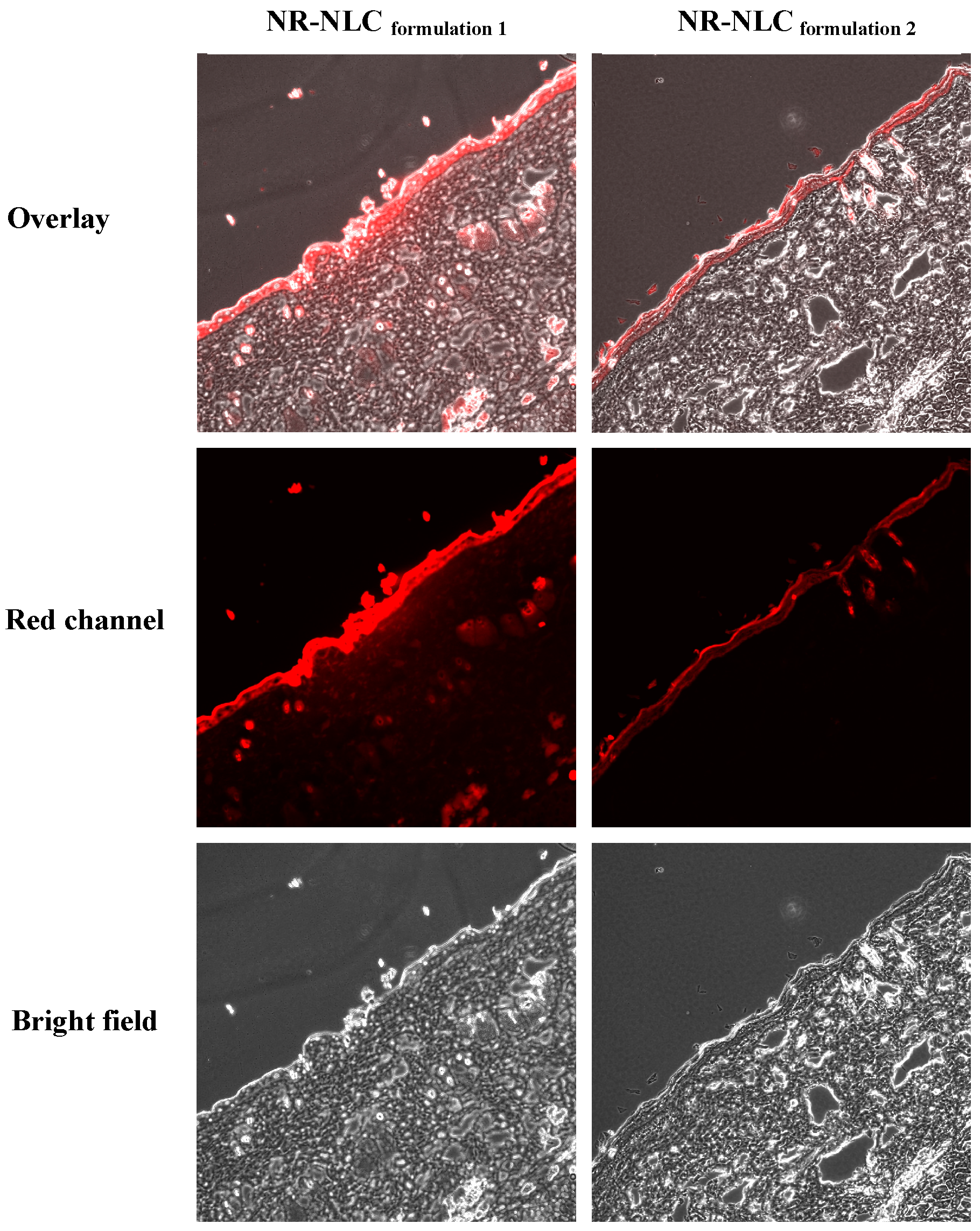 Molecules 21 01695 g005