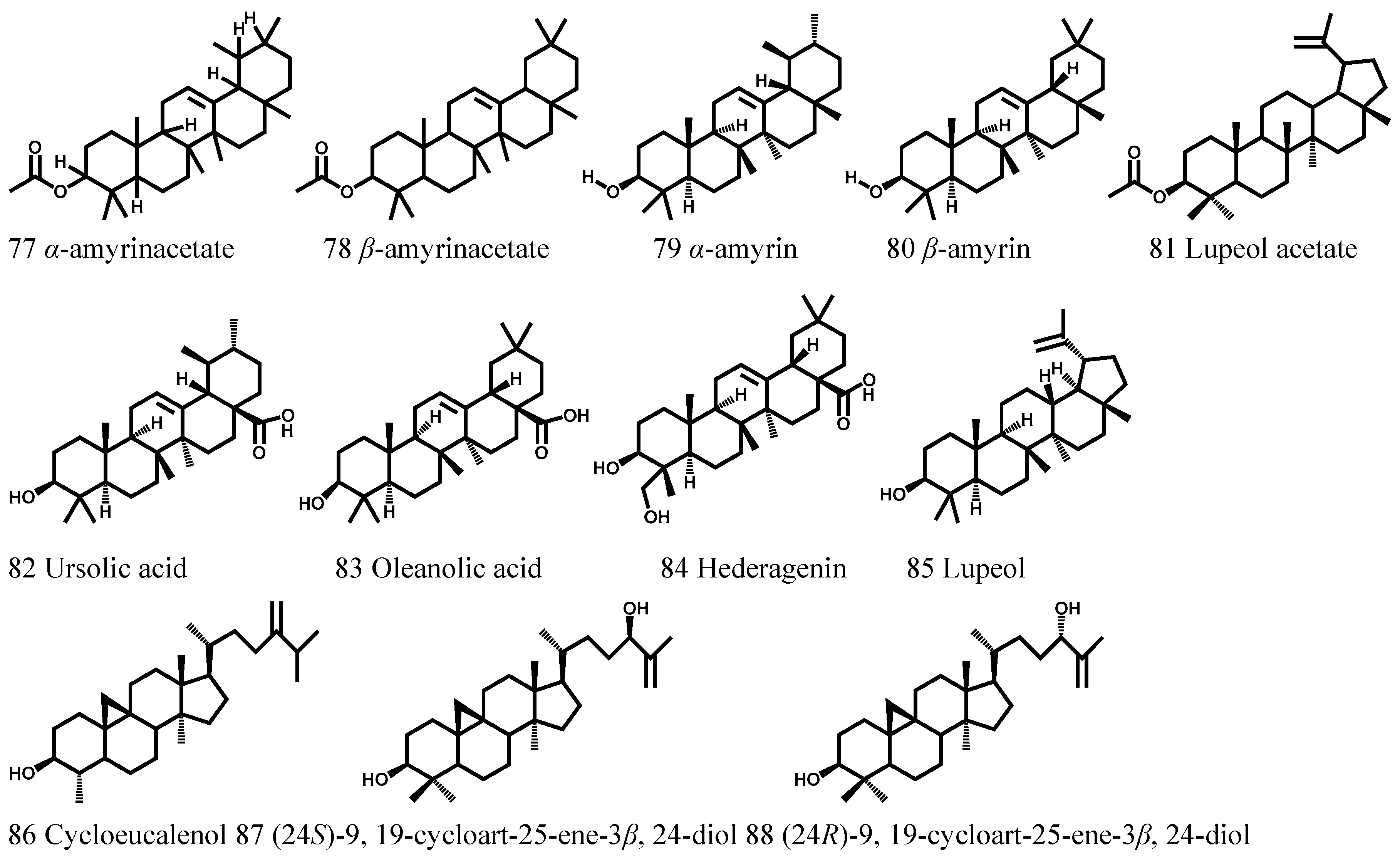 Molecules 21 01702 g004