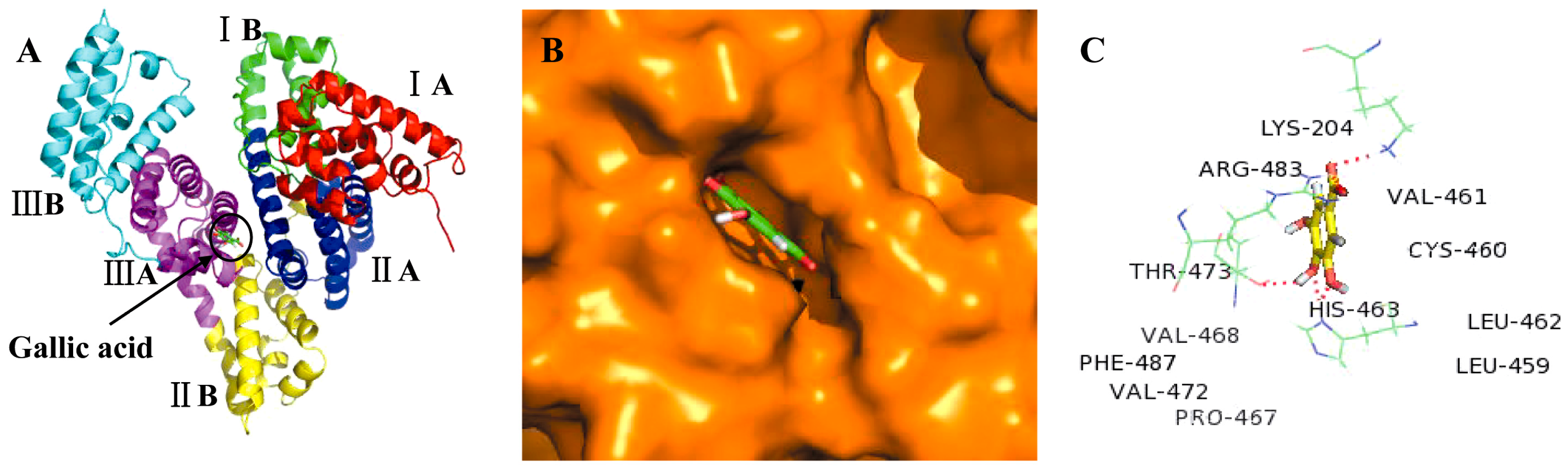 Molecules 21 01706 g004