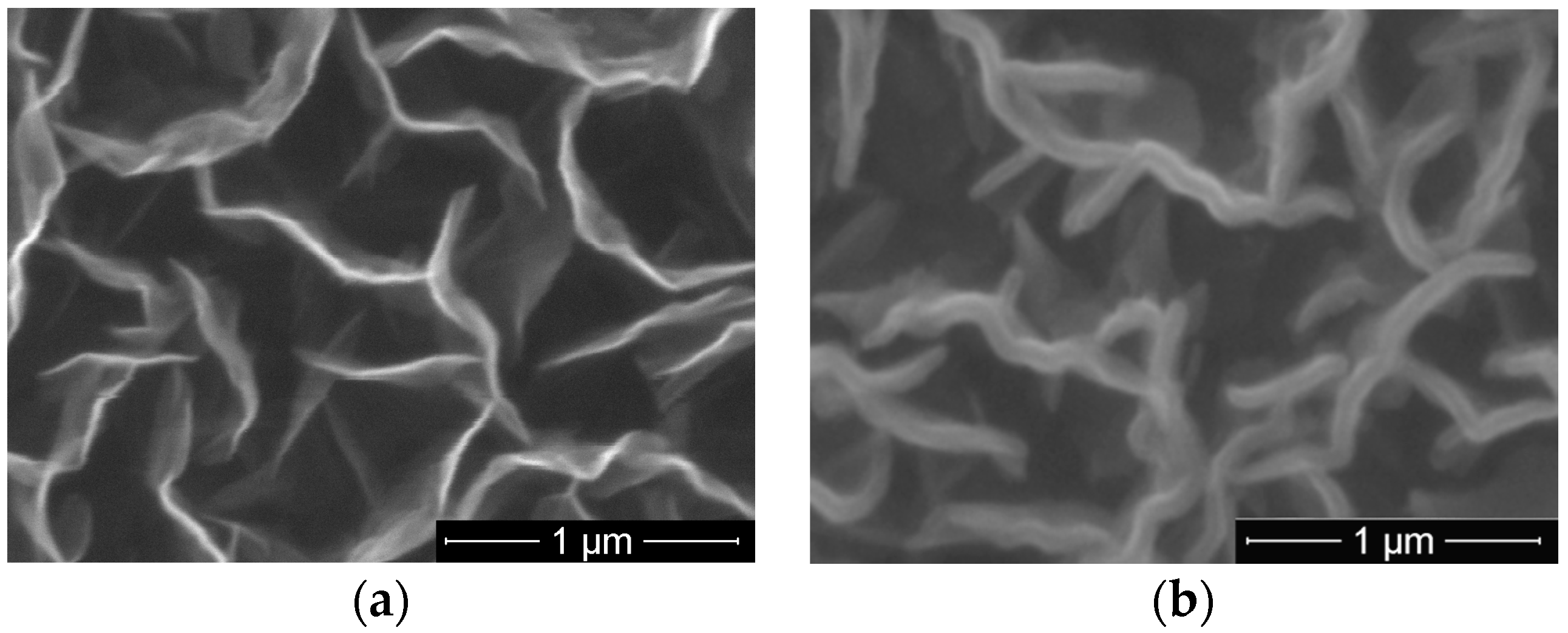 Molecules 21 01711 g005