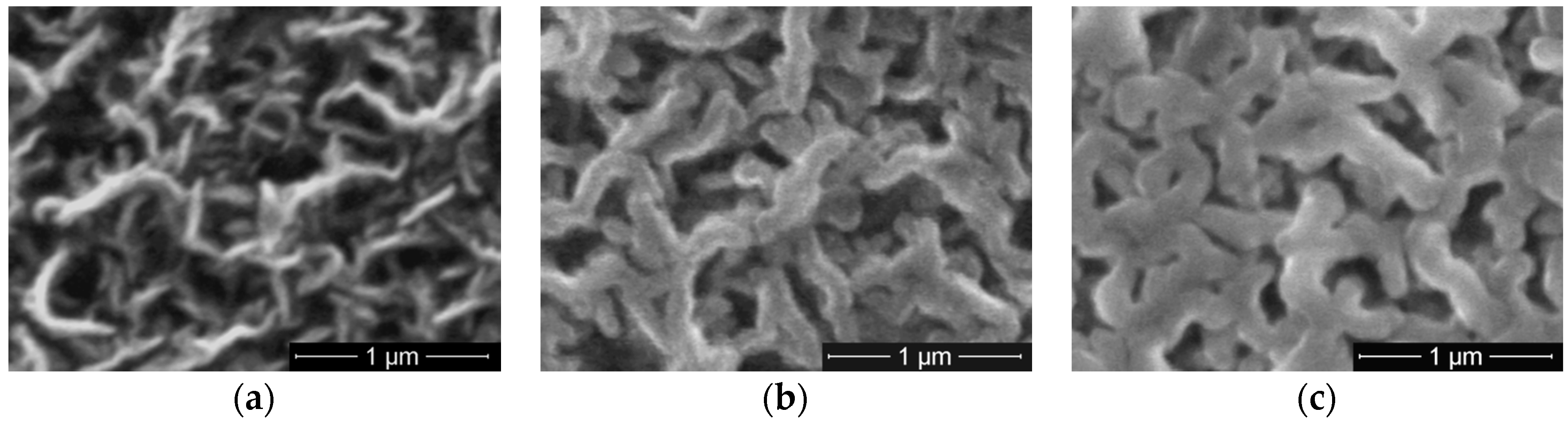 Molecules 21 01711 g008
