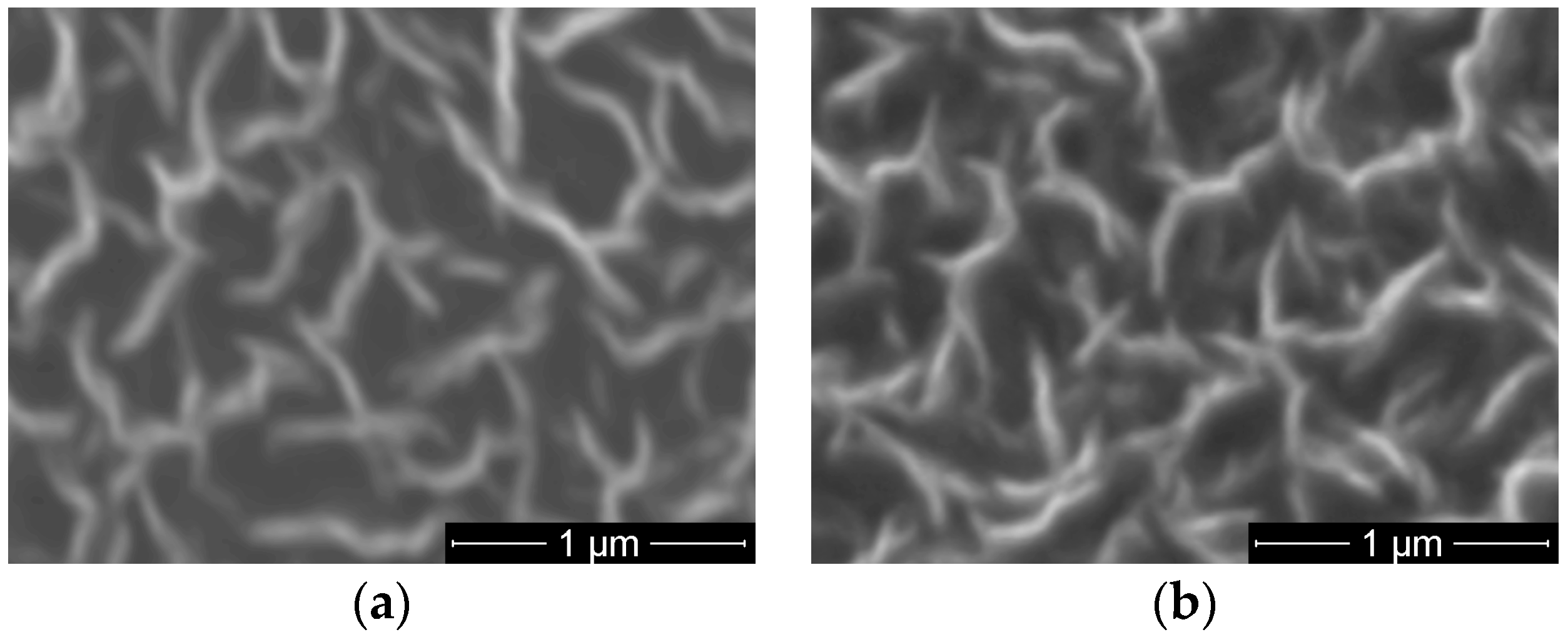 Molecules 21 01711 g010